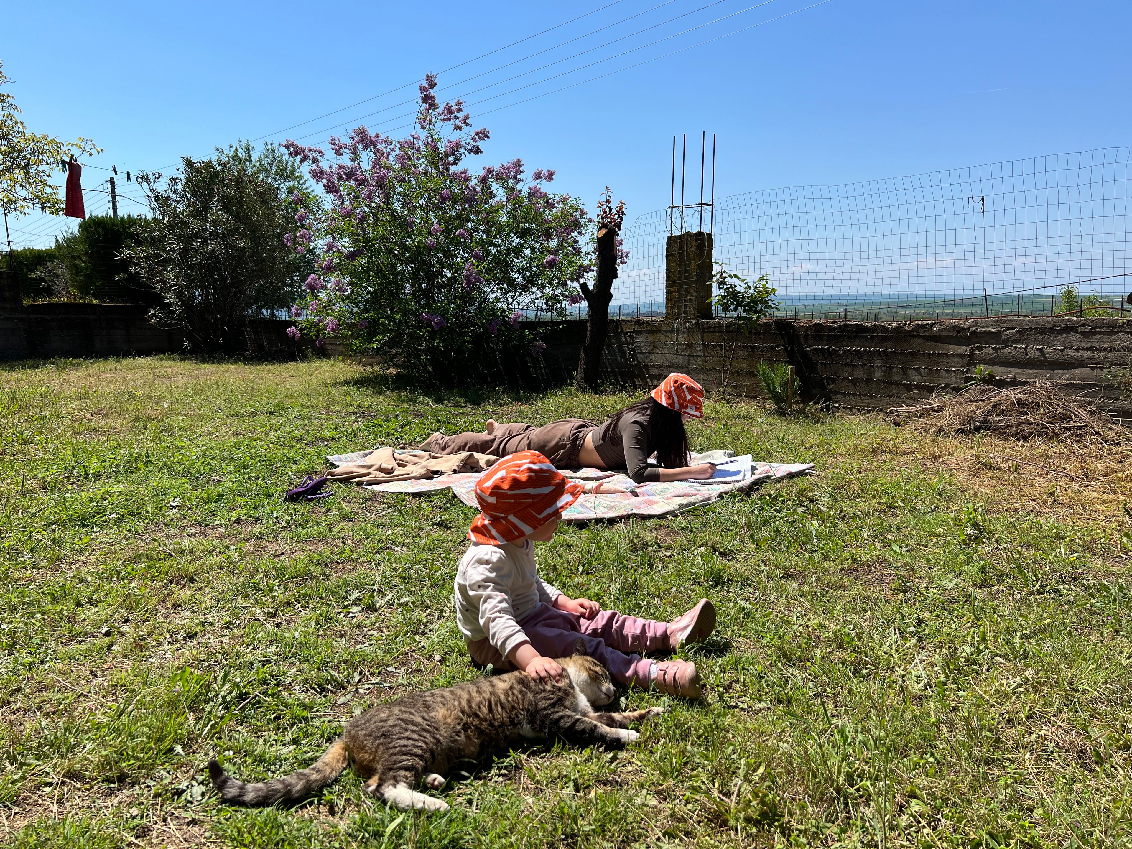image-7