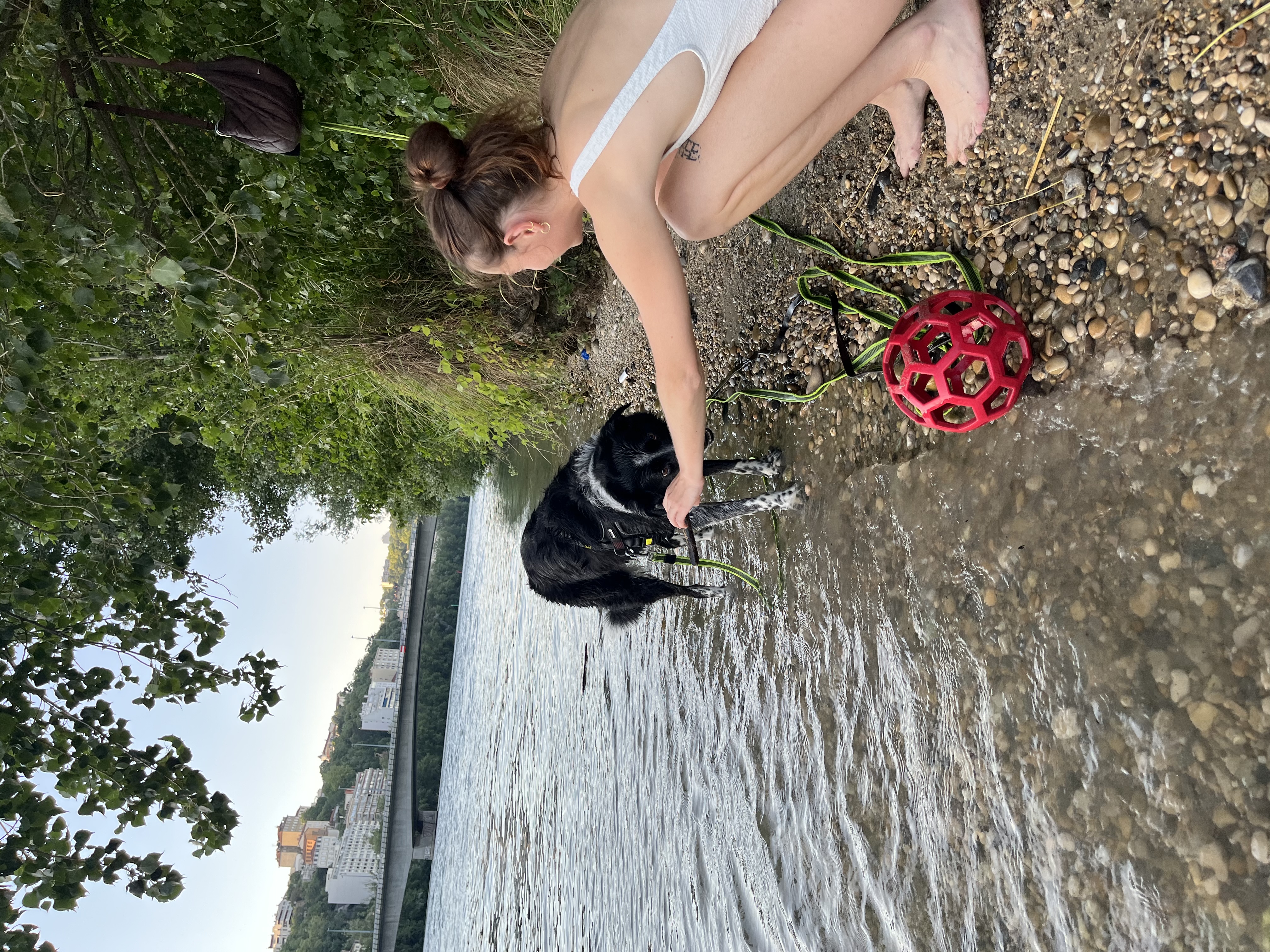 image-18