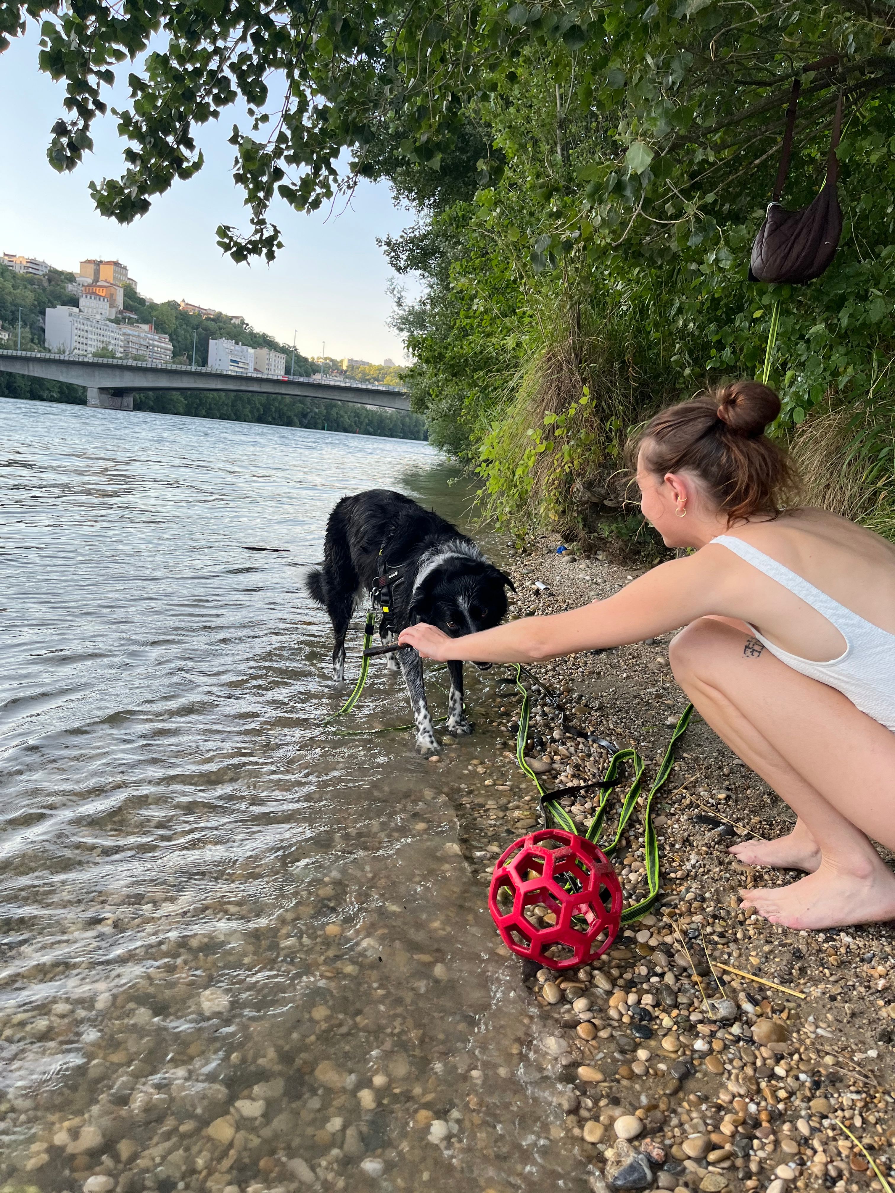 image-18
