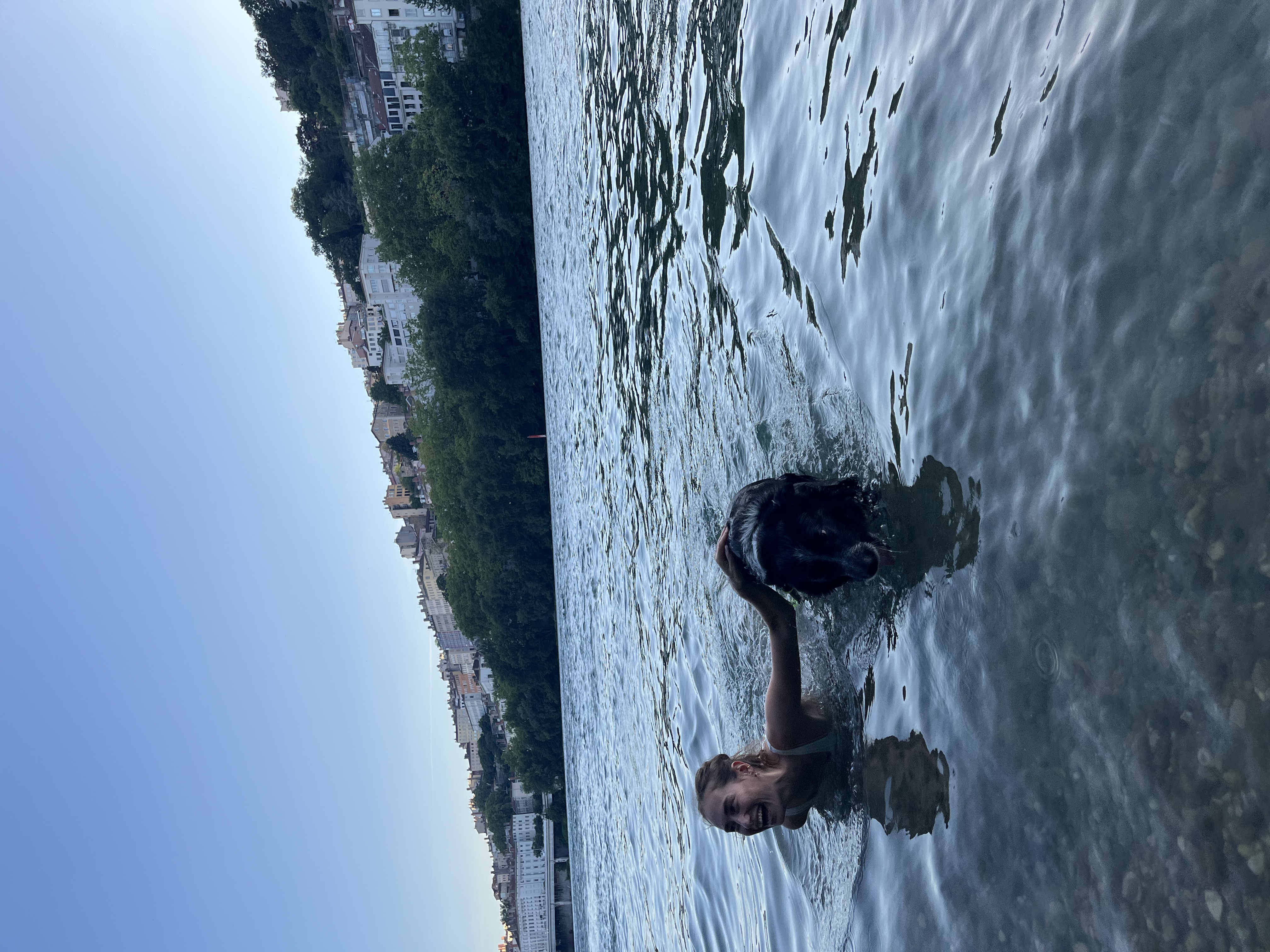 image-4