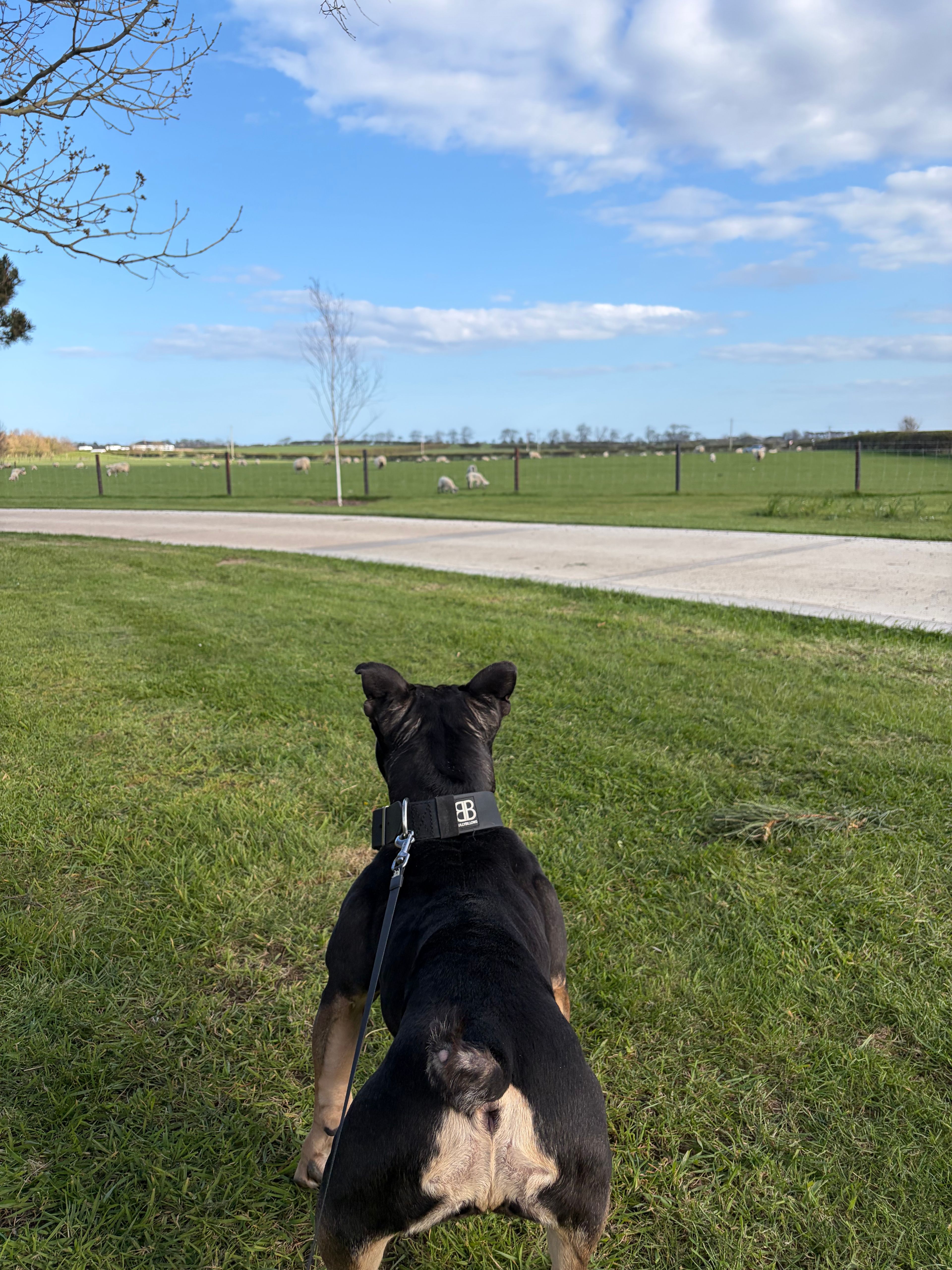 image-6