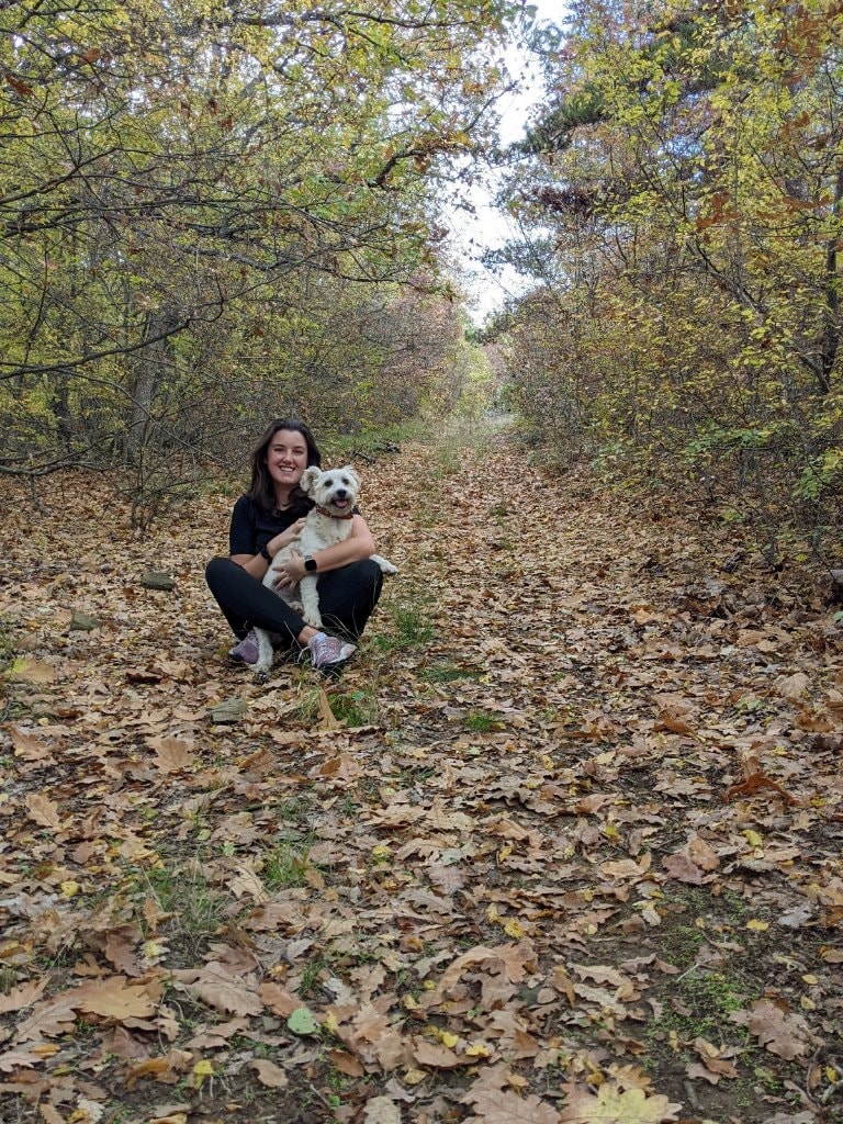 image-2