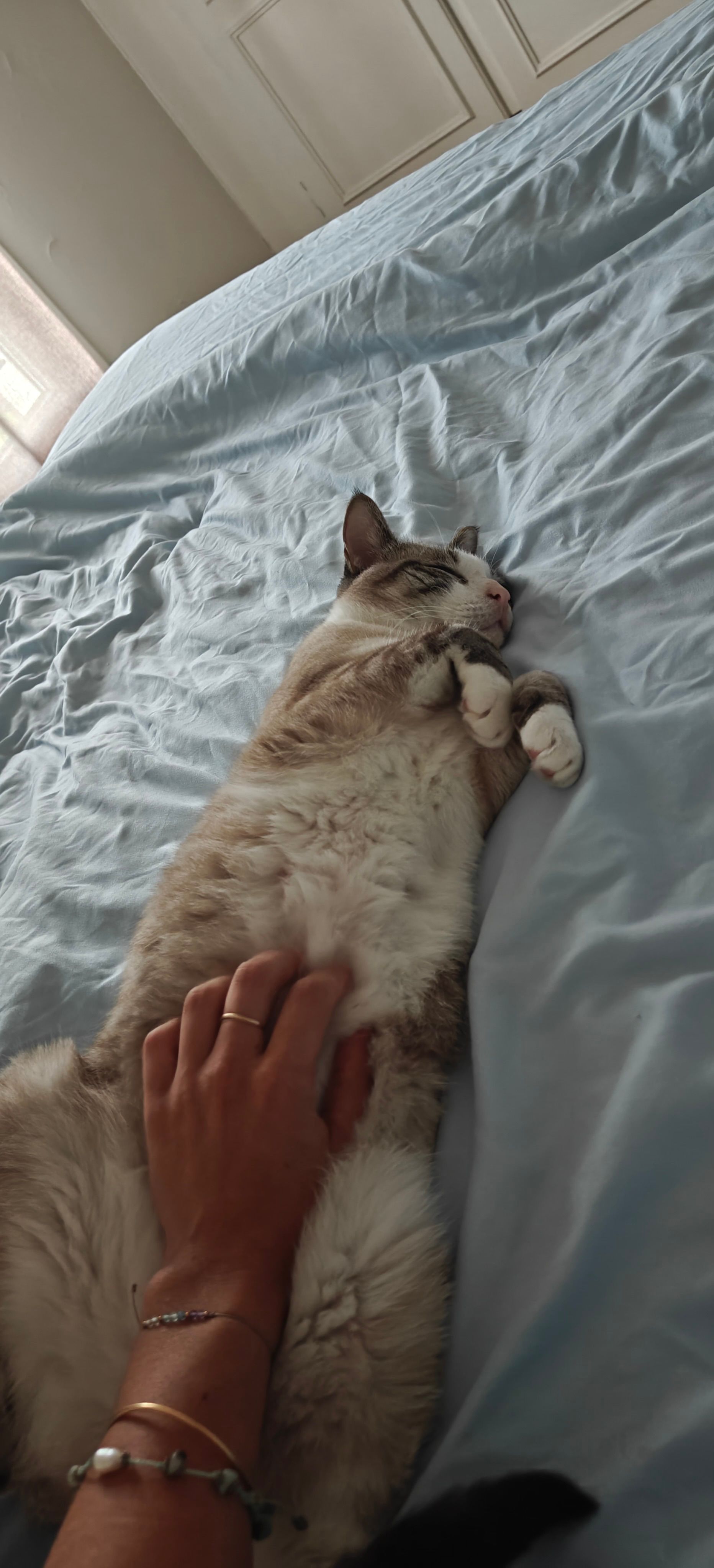 image-6