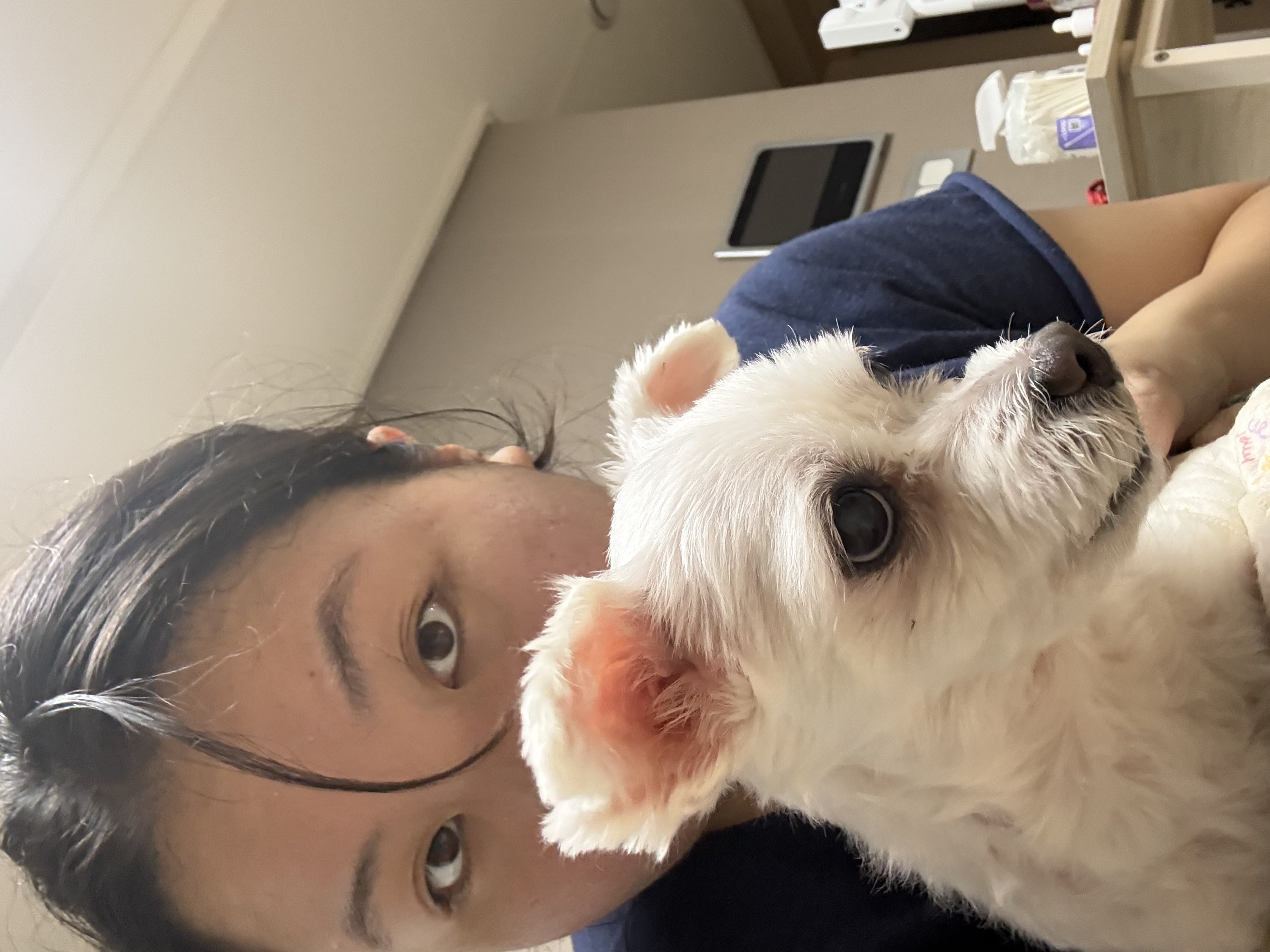 image-7