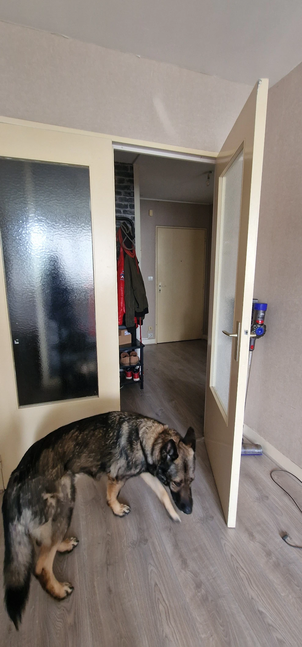 image-18