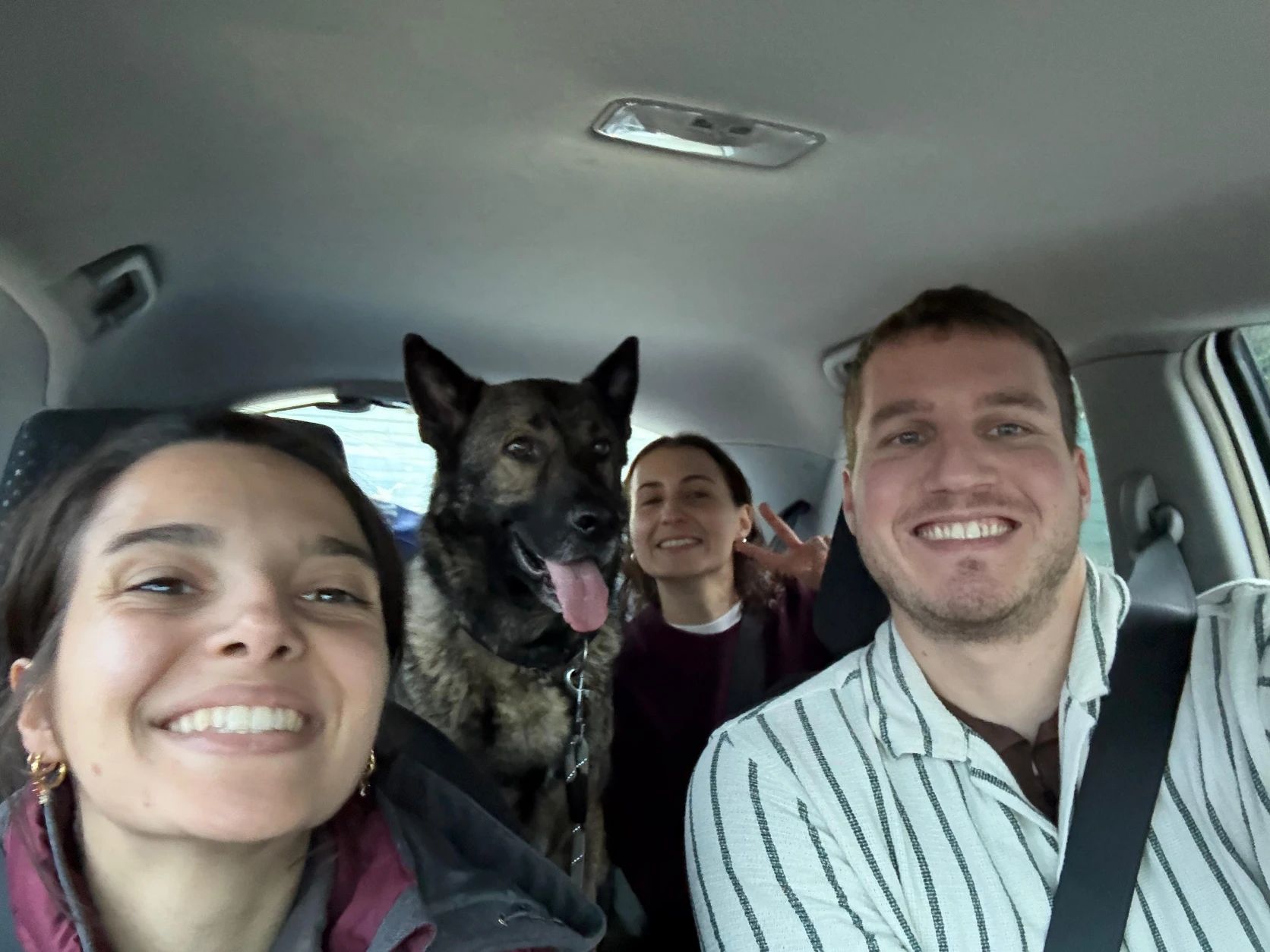 image-10