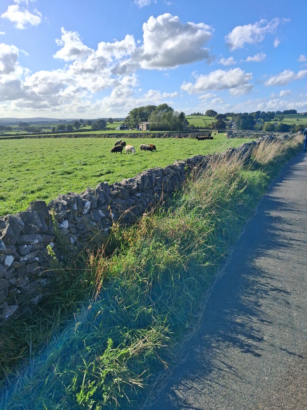image-17