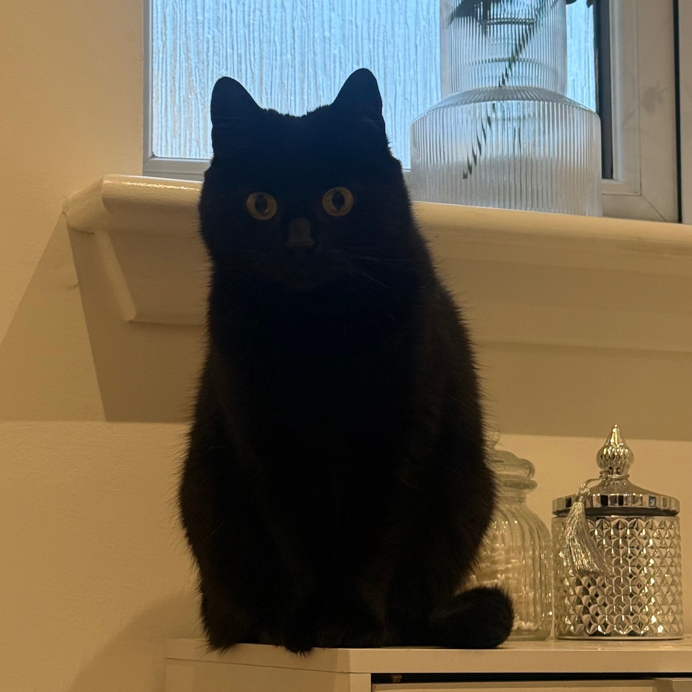 Lexie