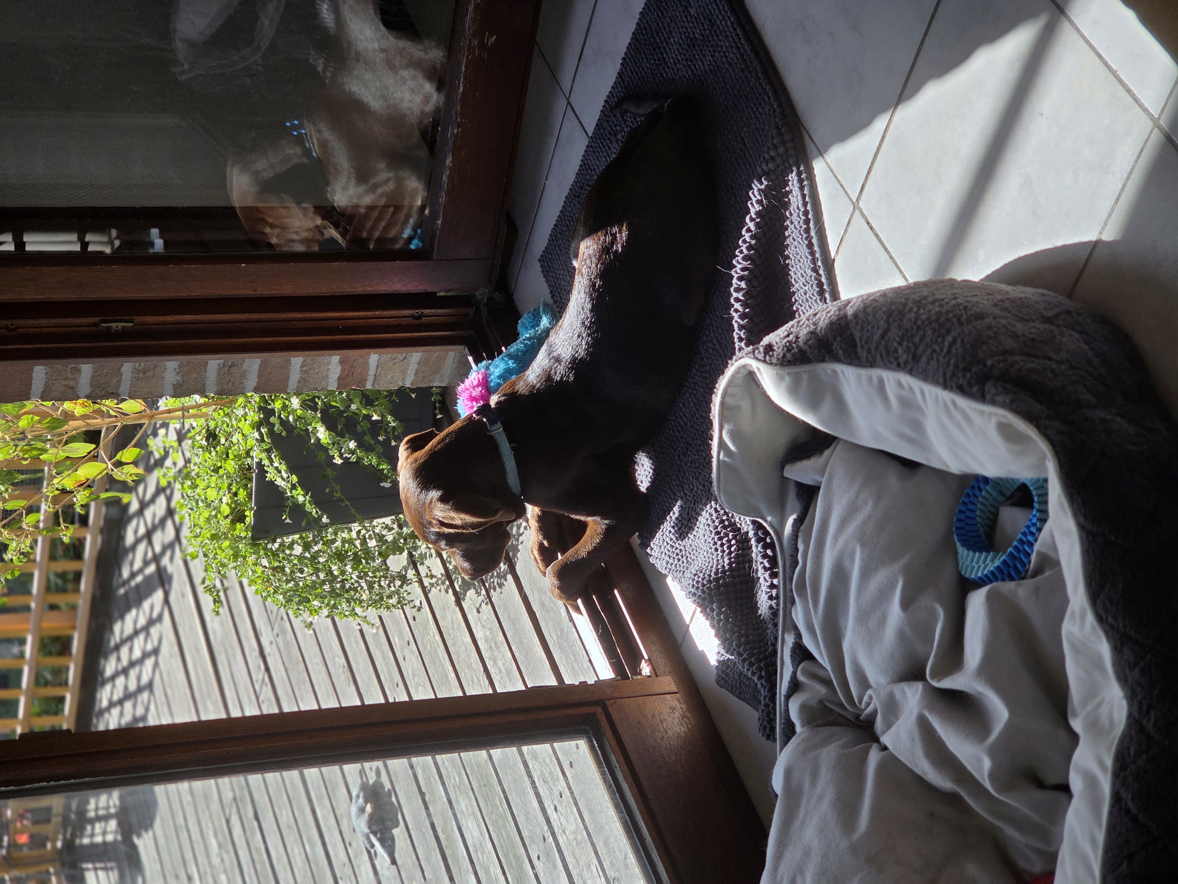 image-9