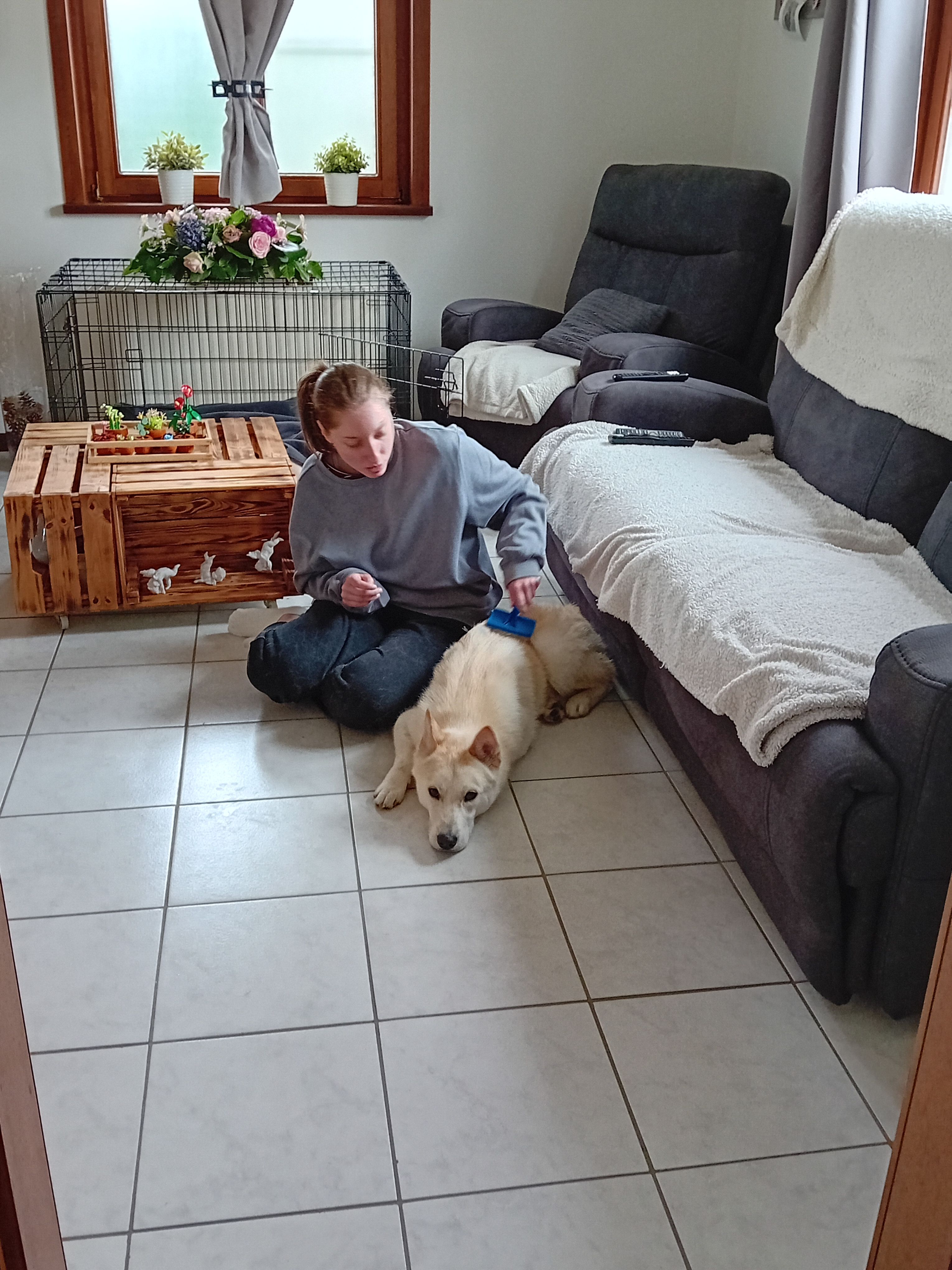 image-21