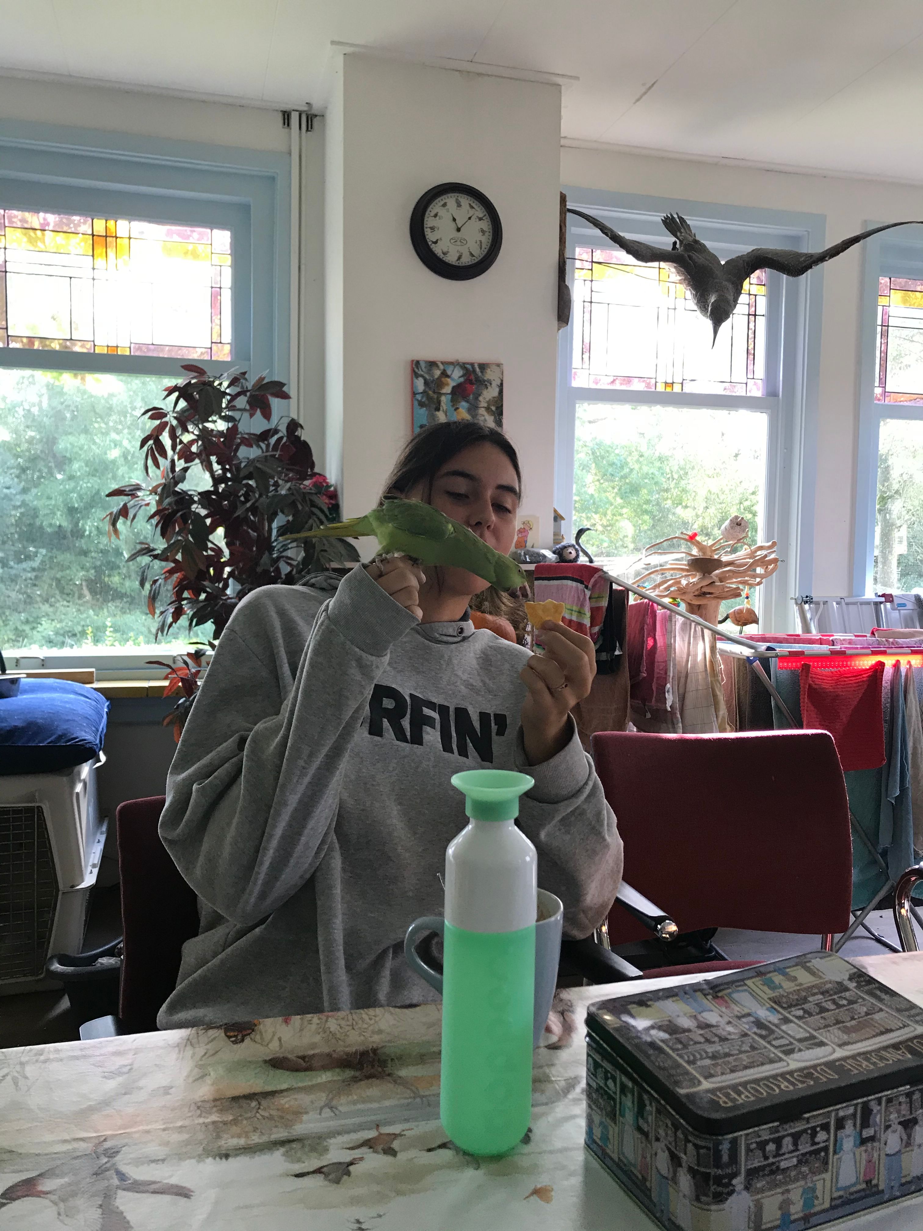 image-6