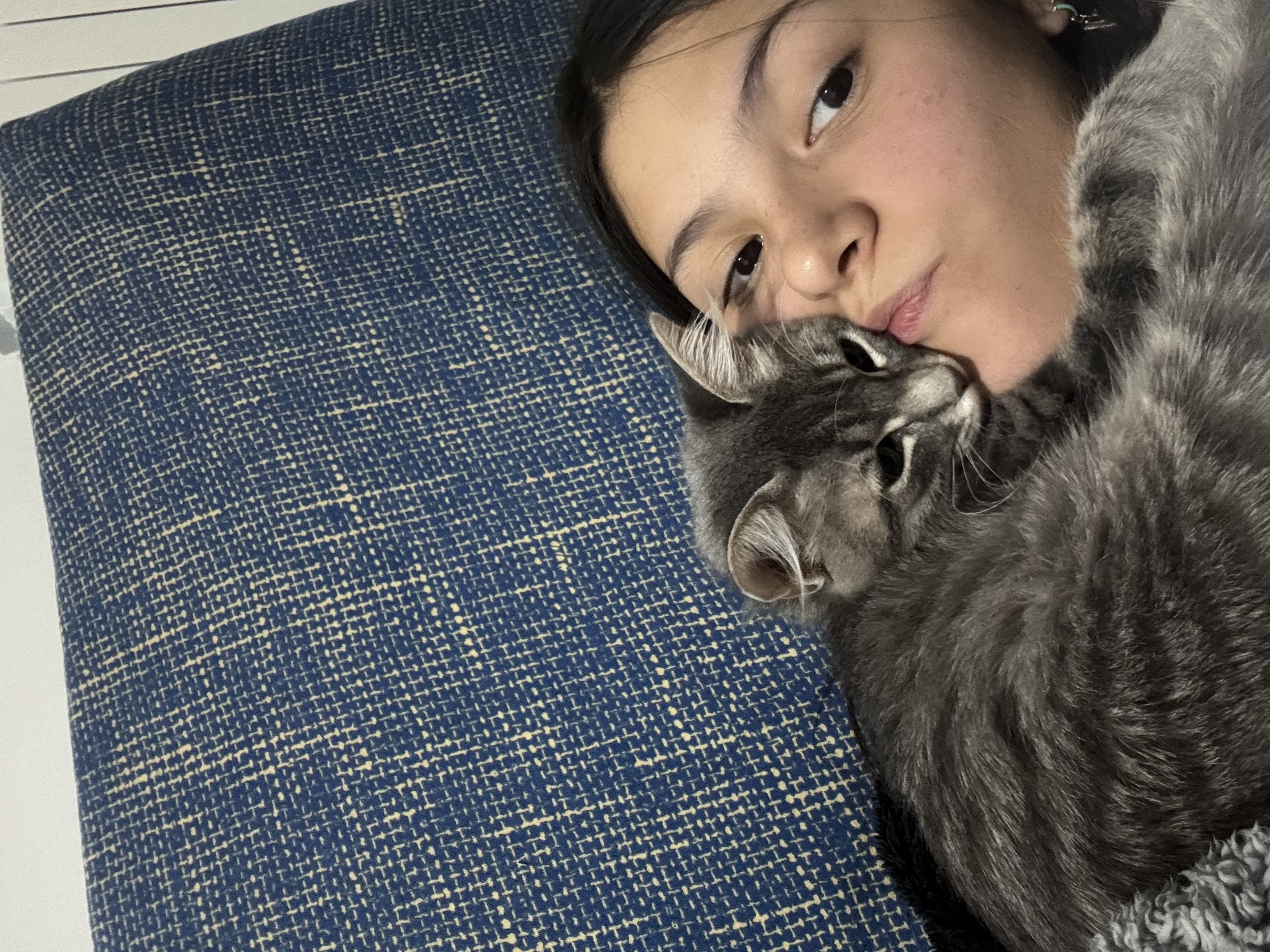 image-11