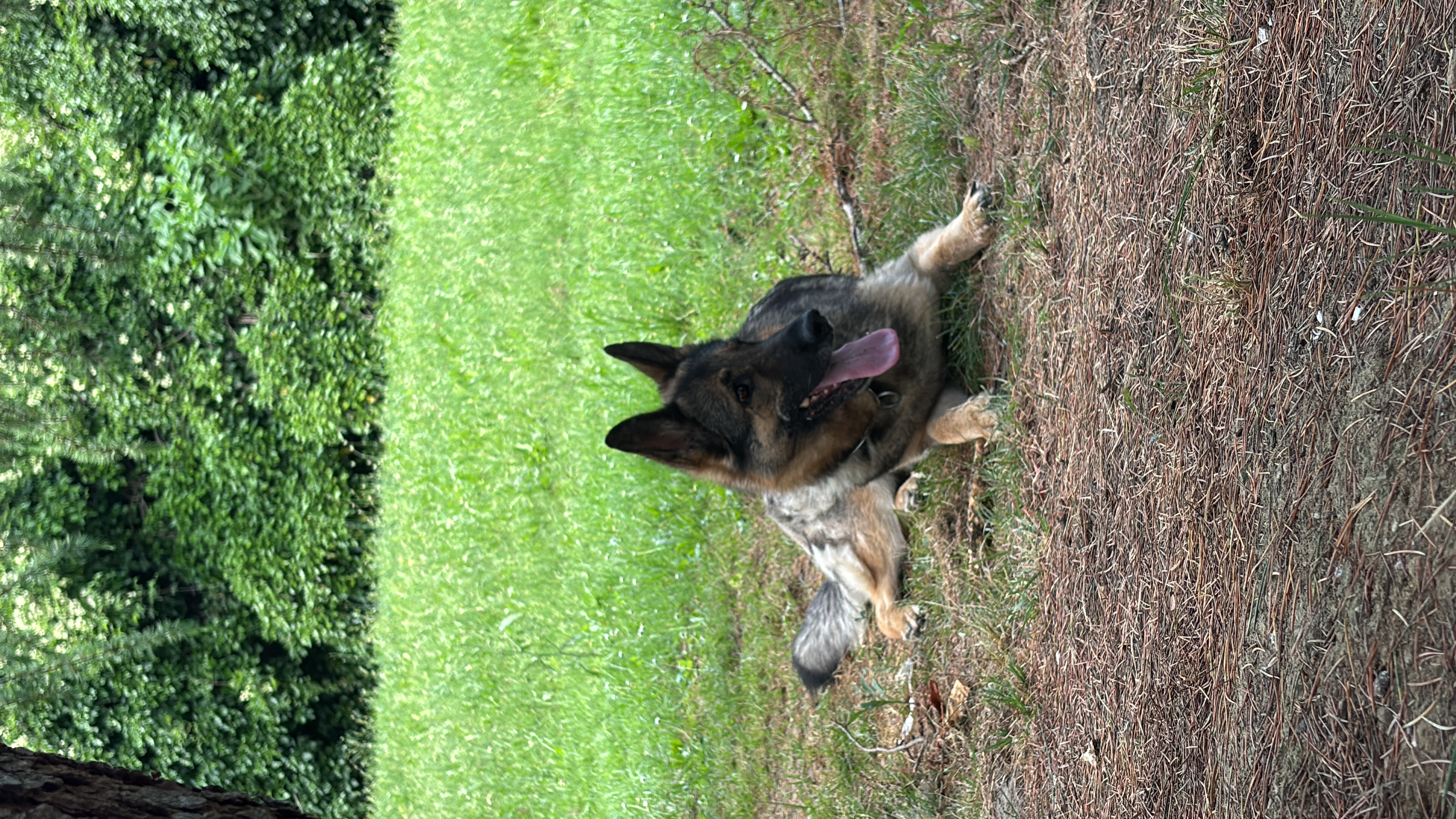image-3