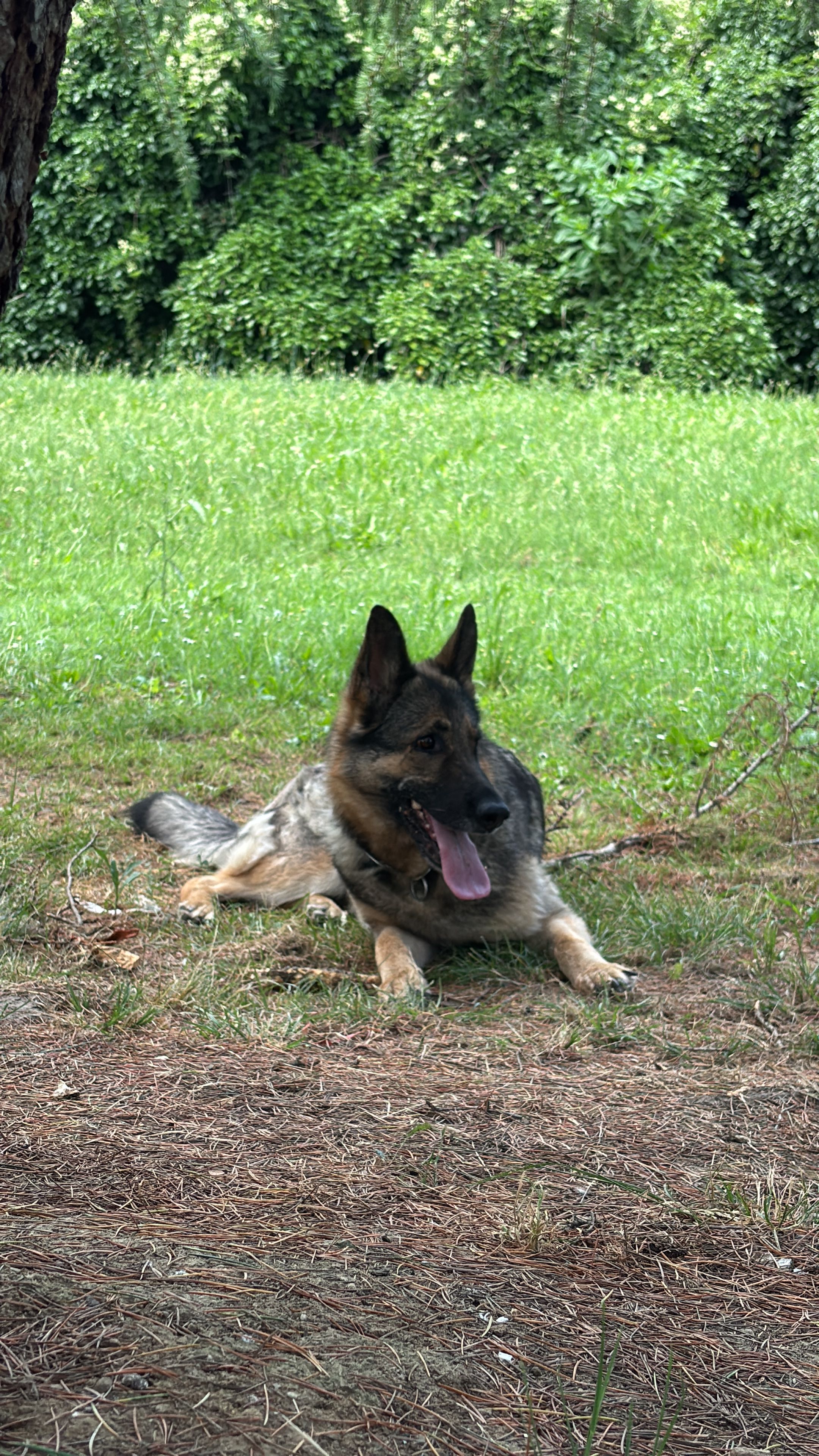 image-3