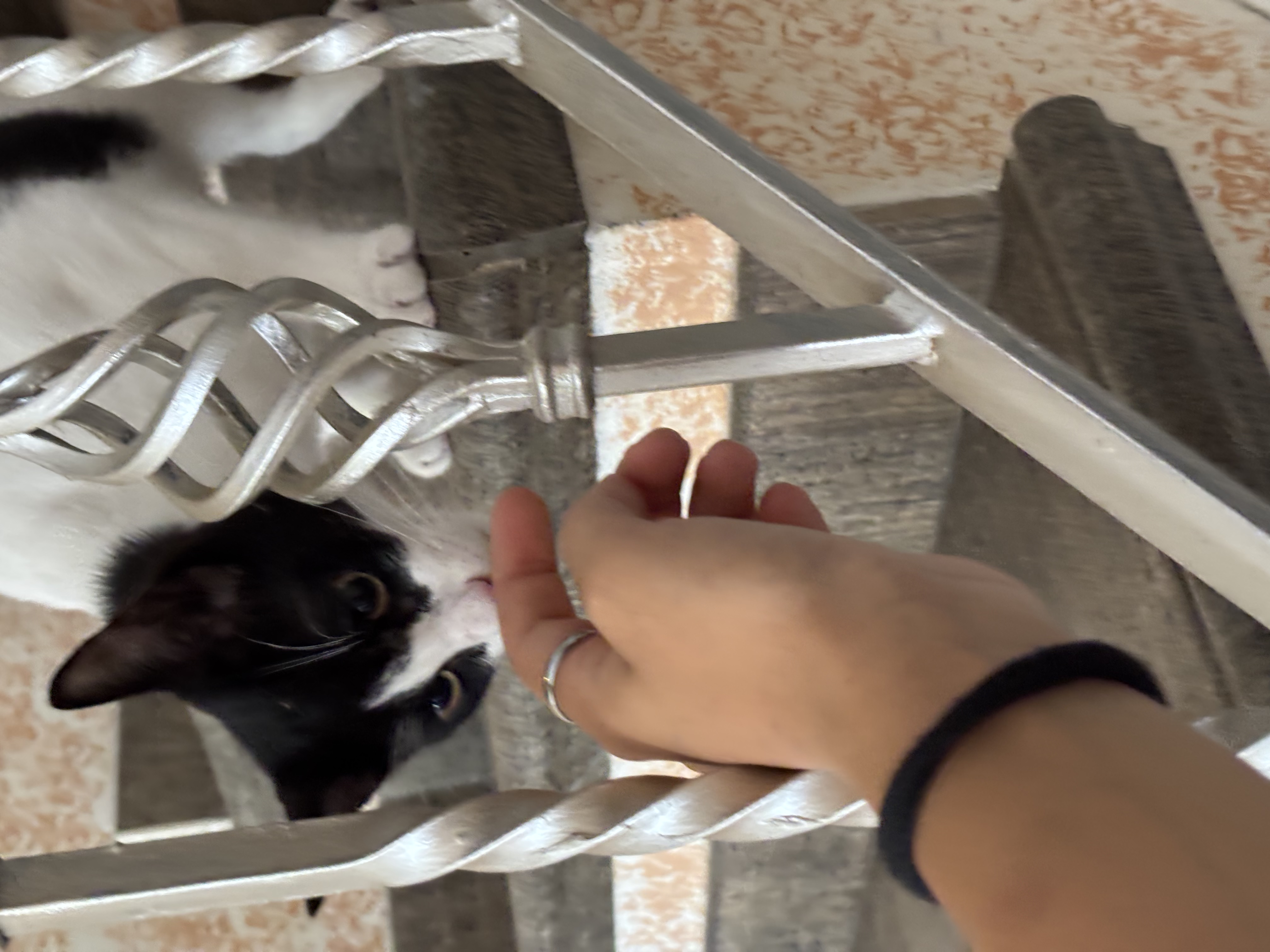 image-8