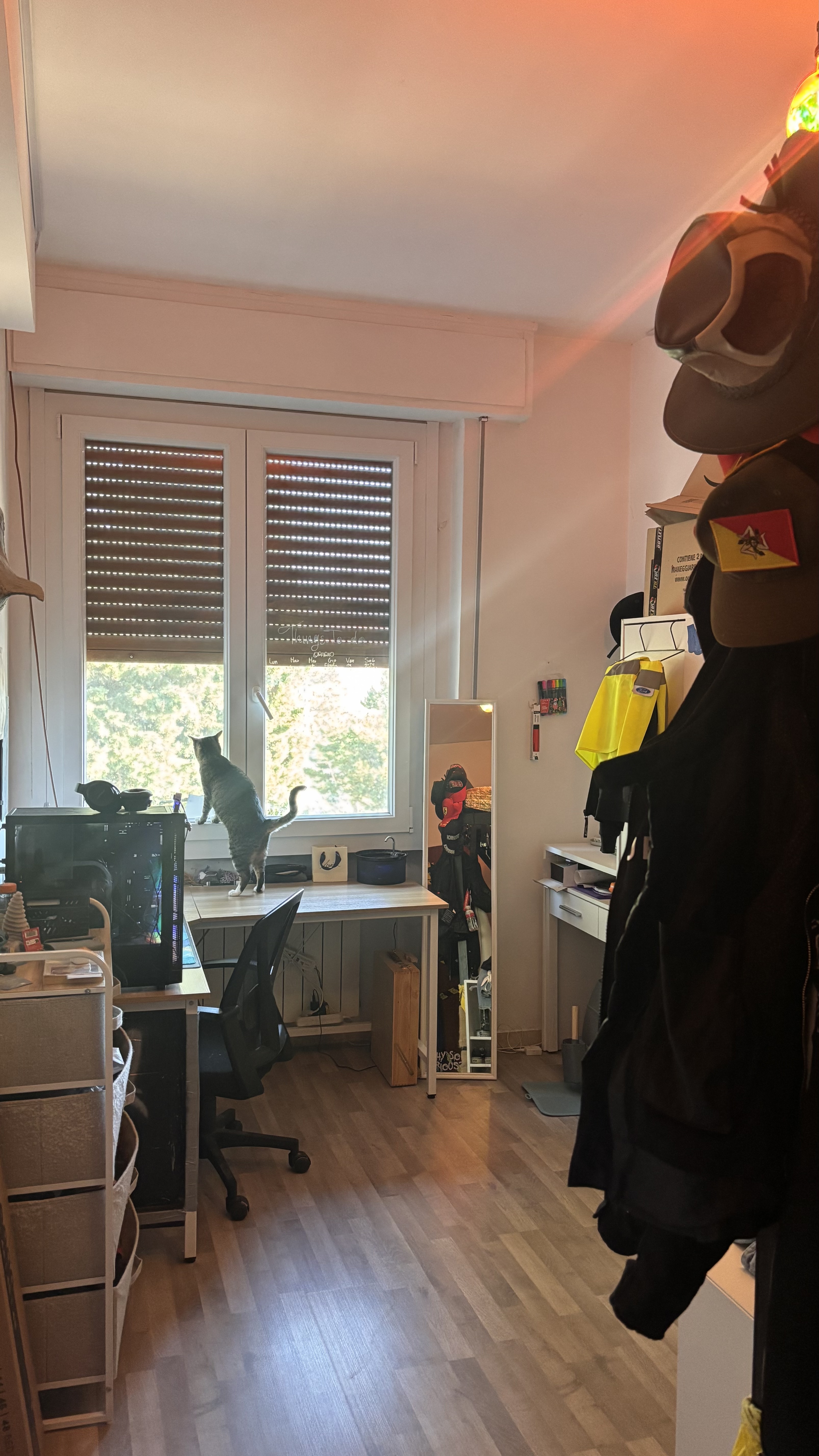 image-17