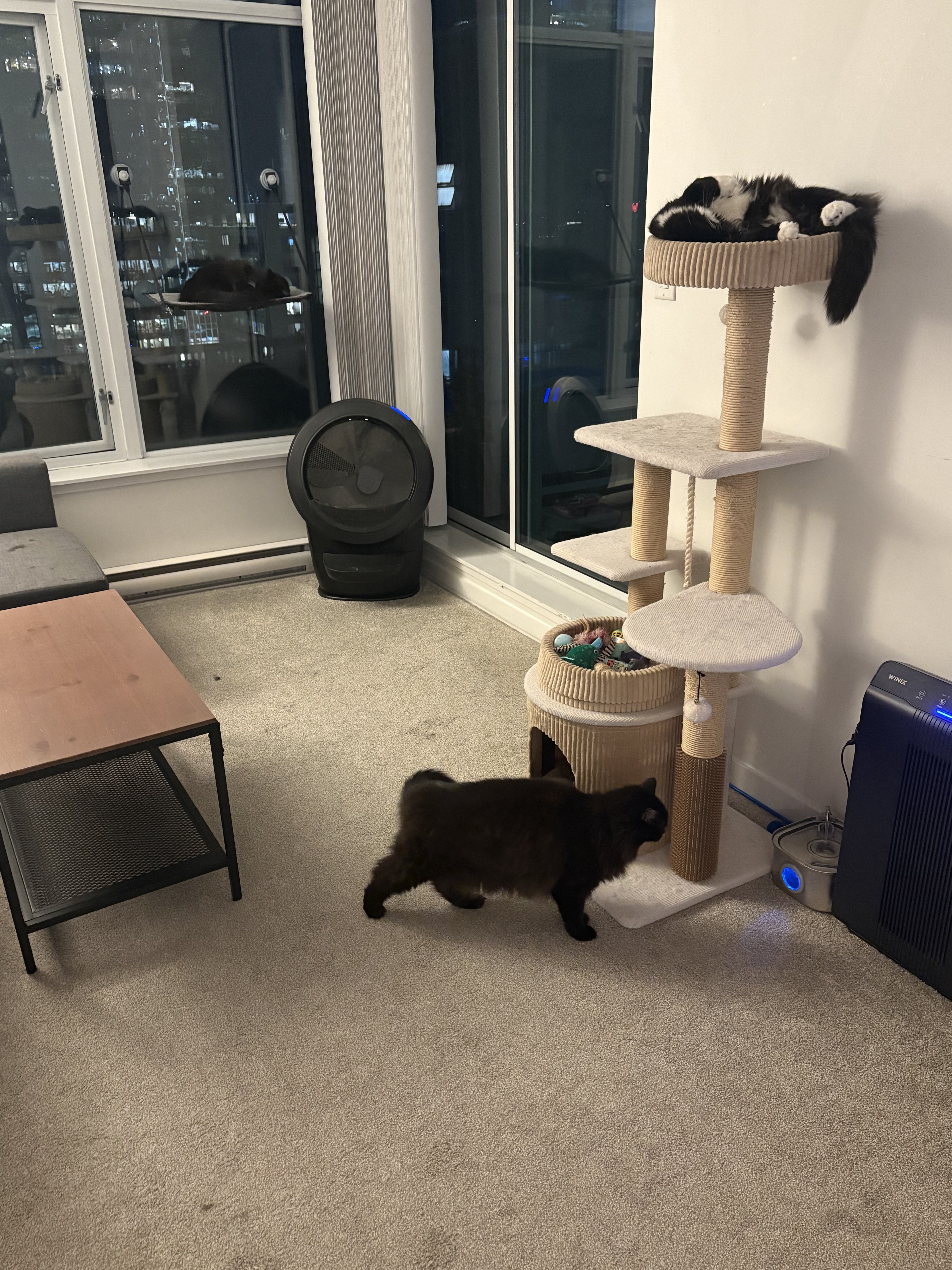 image-16