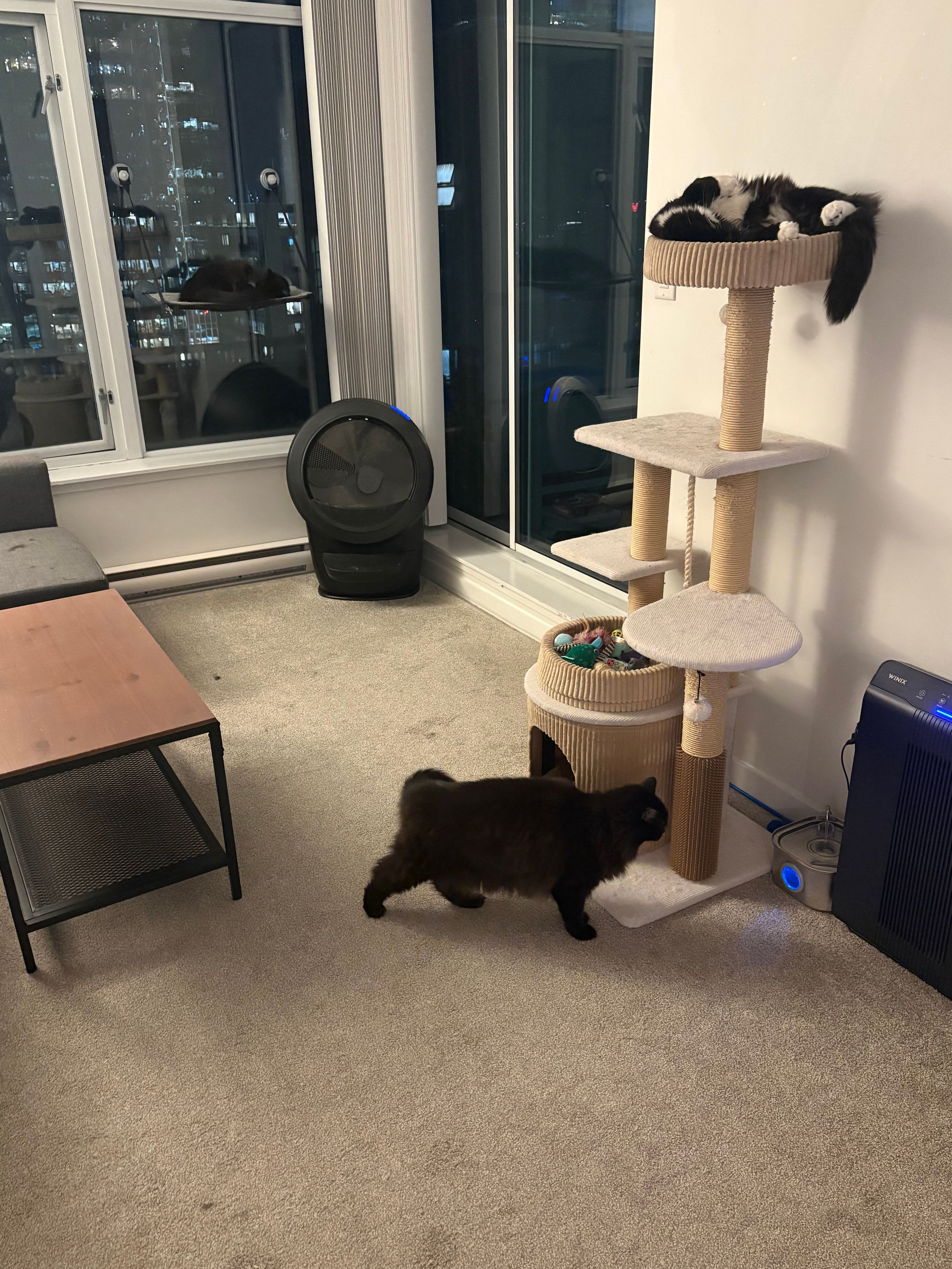 image-16