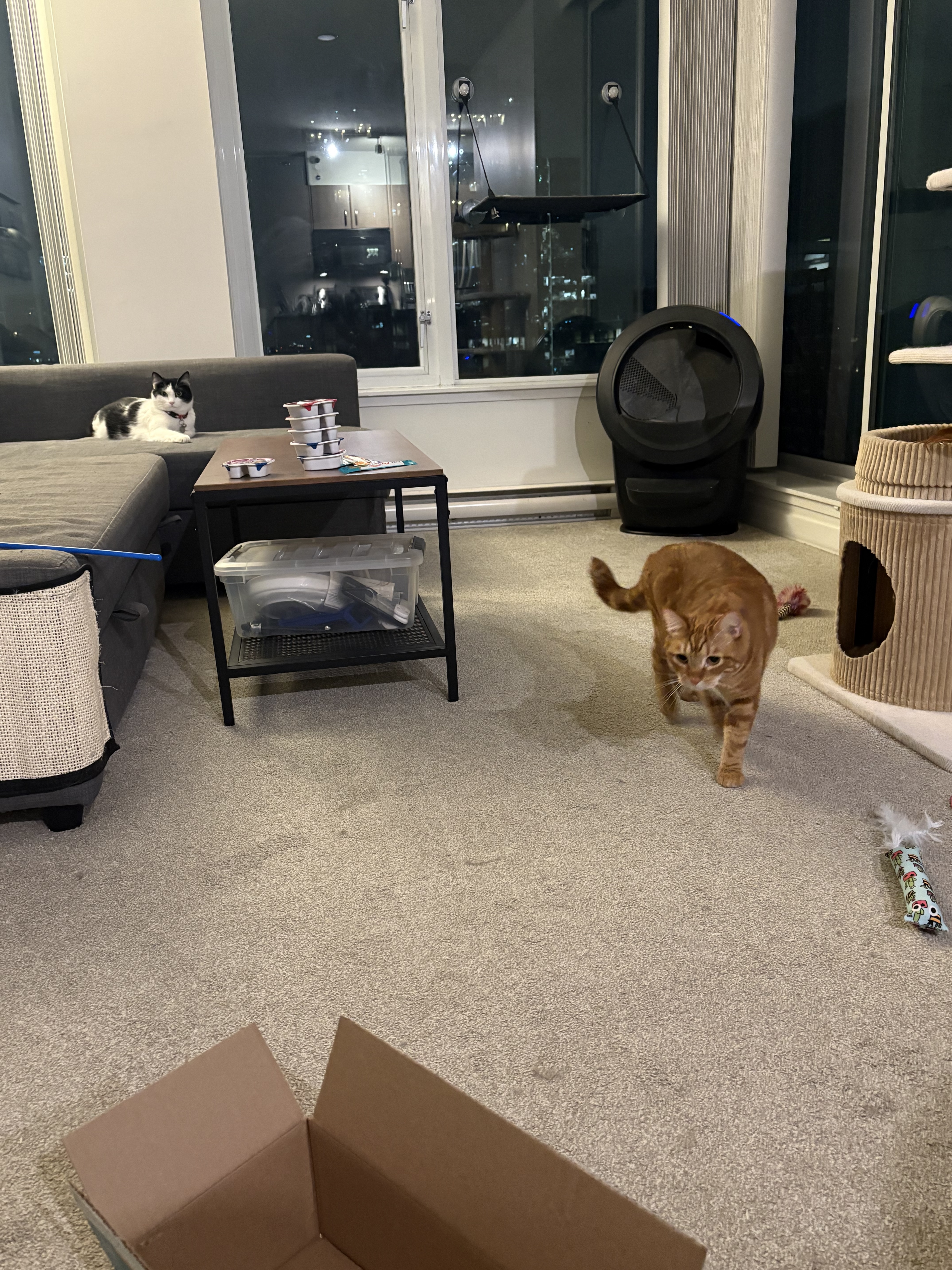 image-12