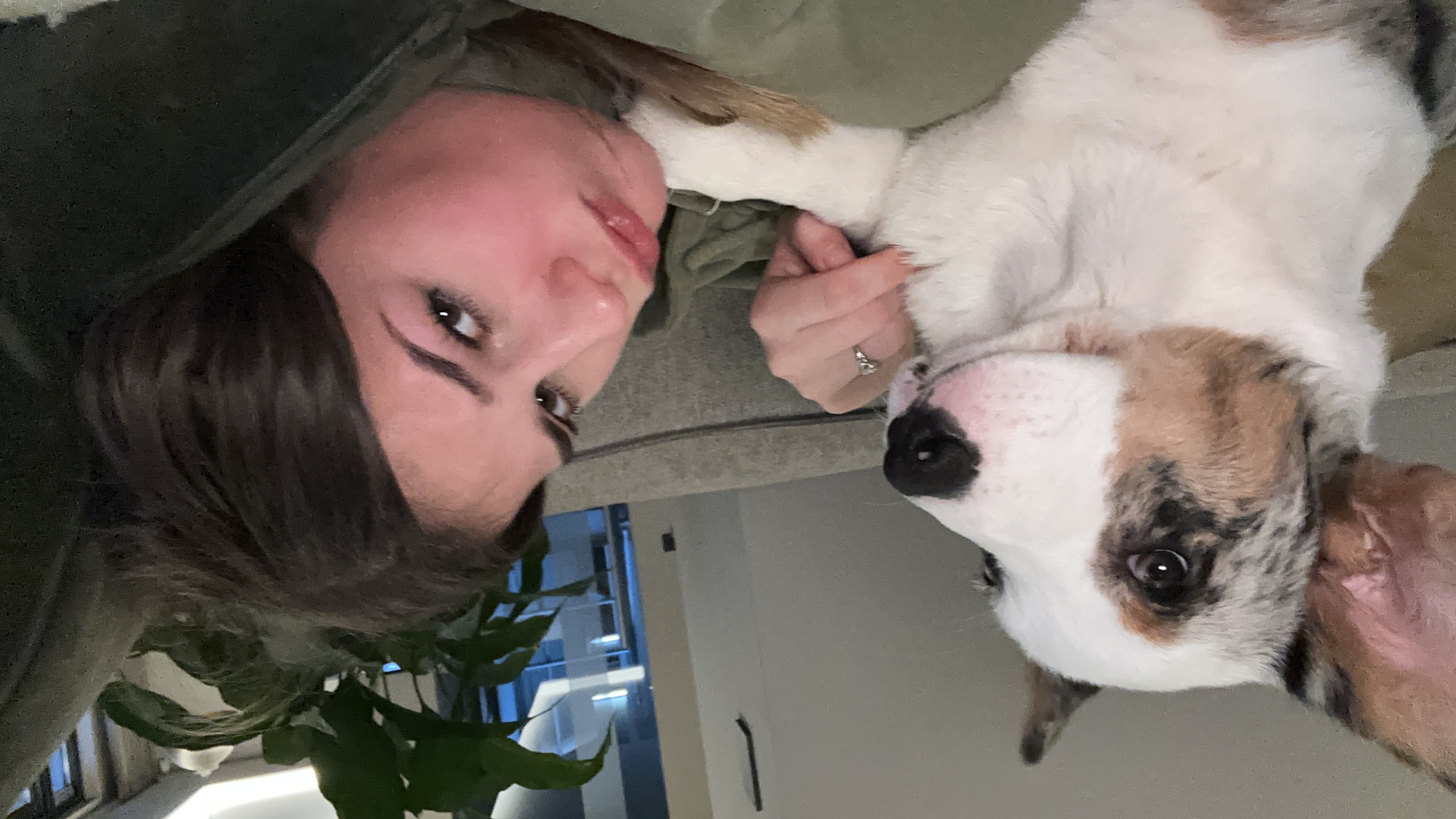 image-12