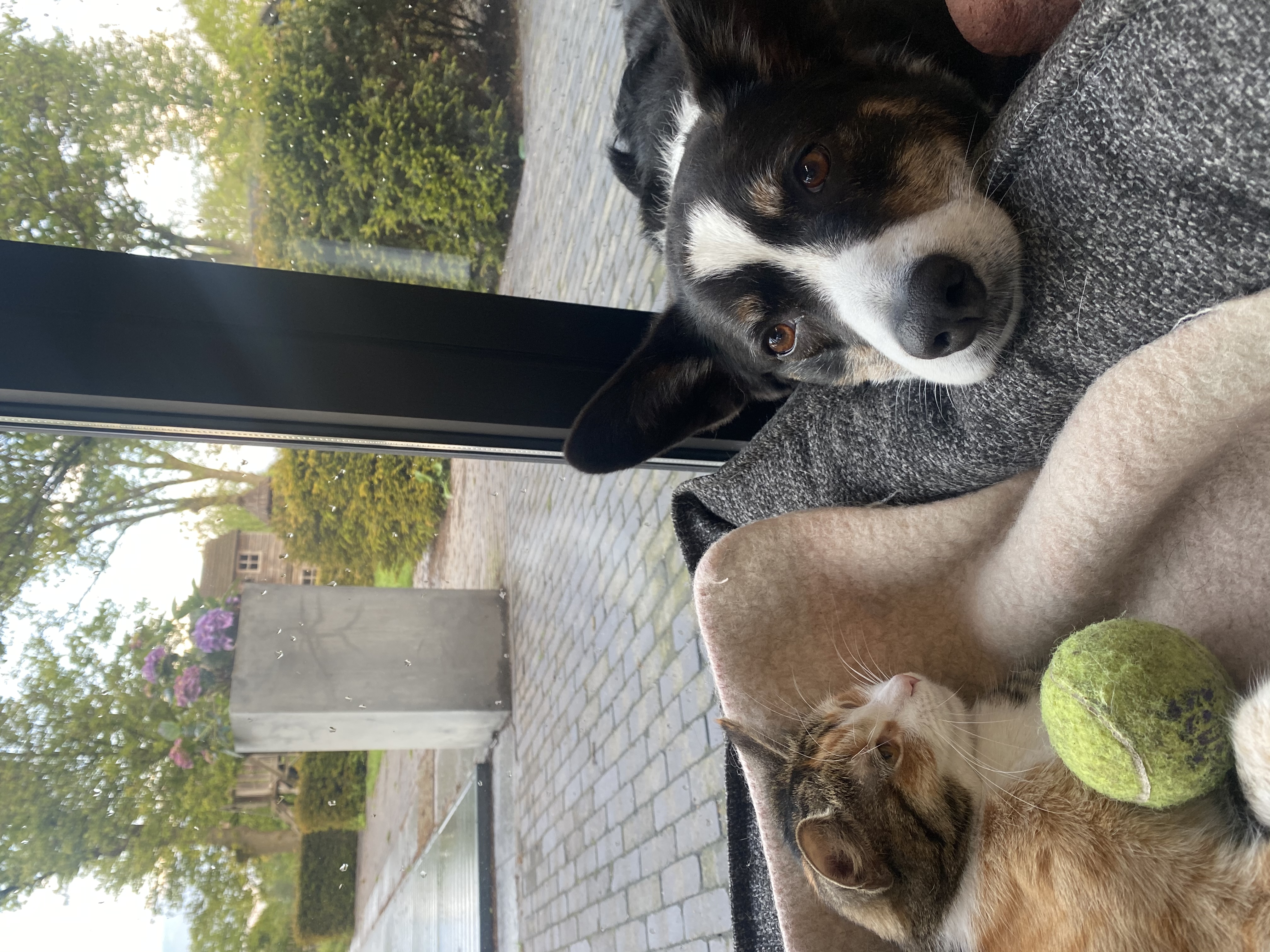 image-11