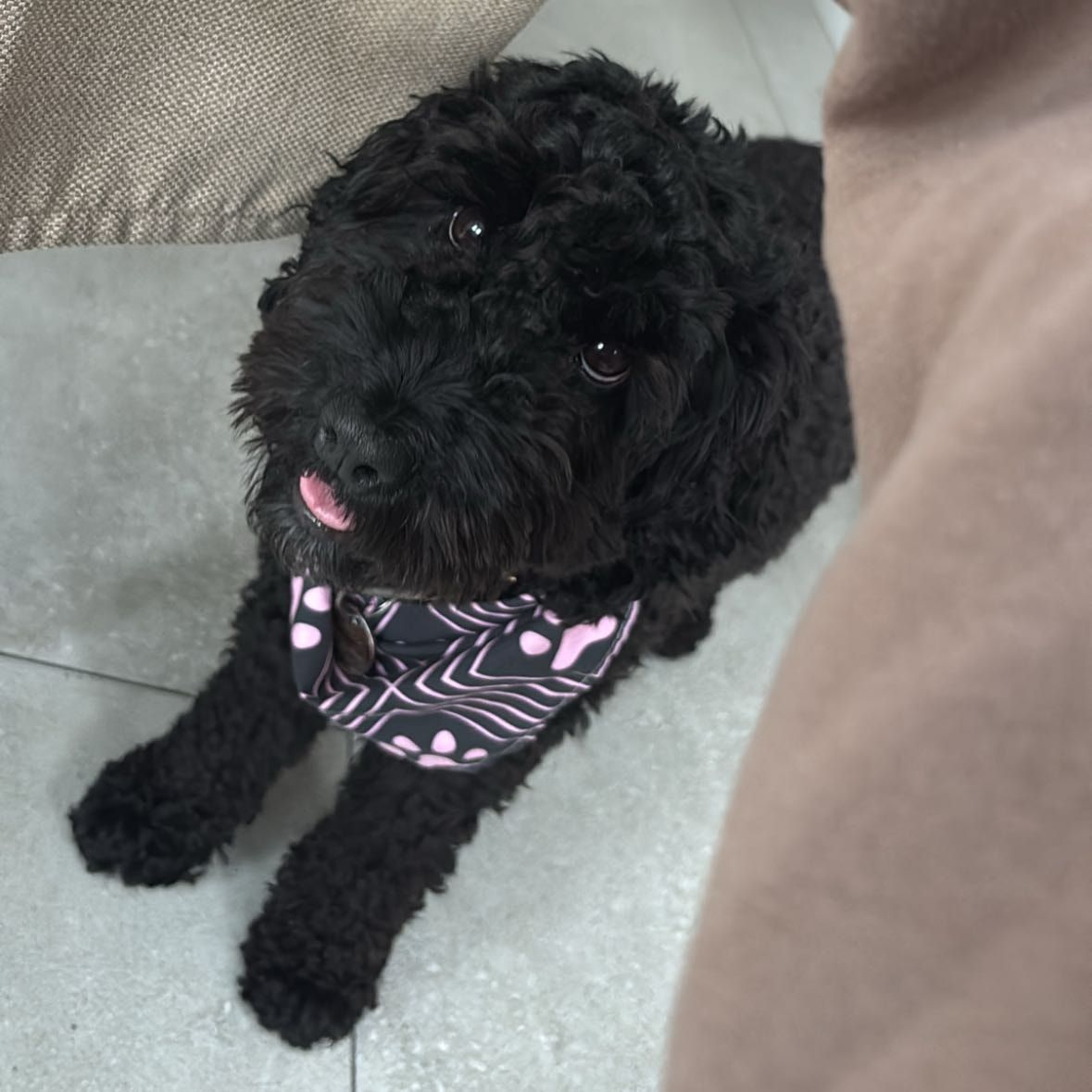 Roxie