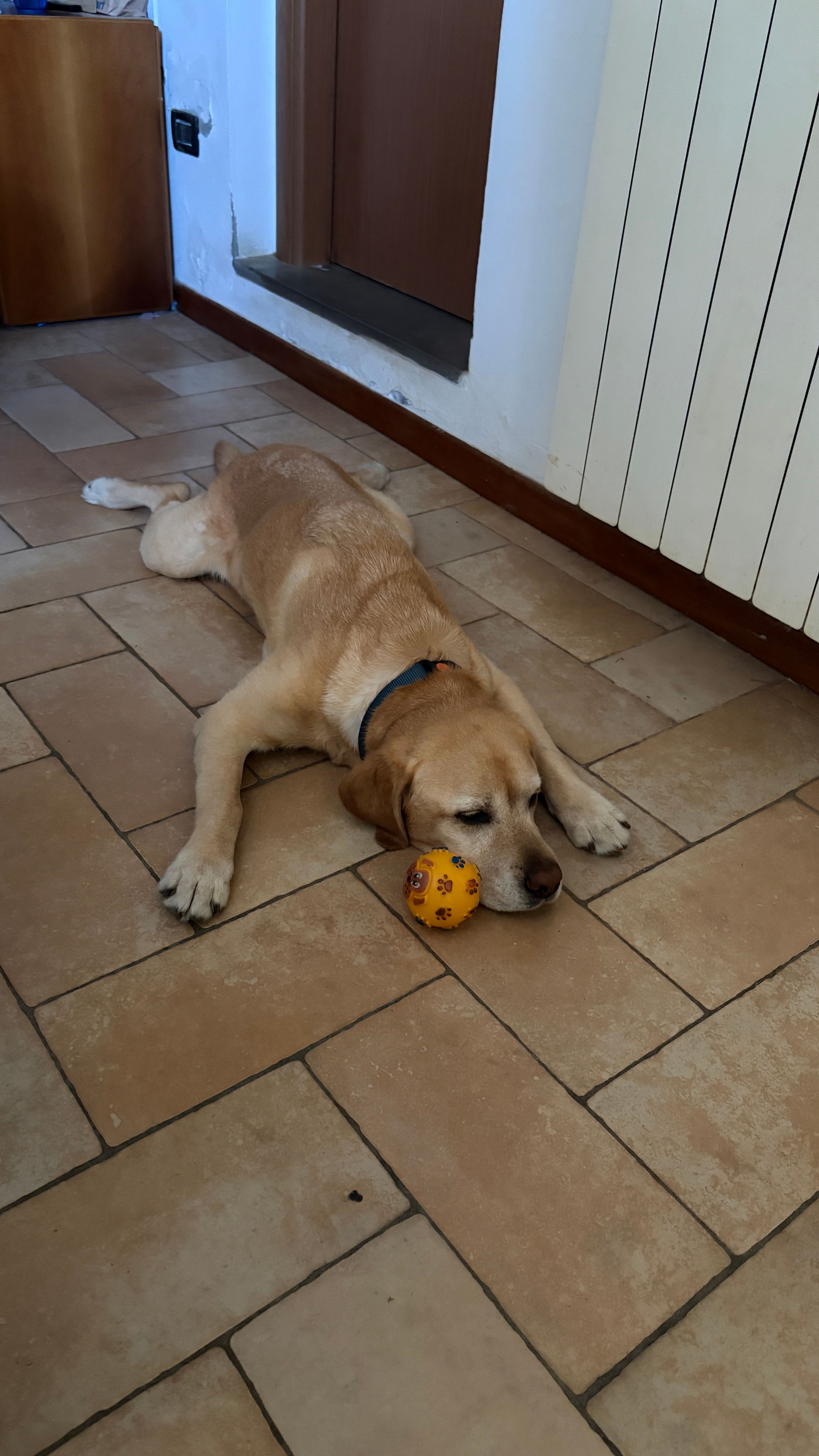 image-14