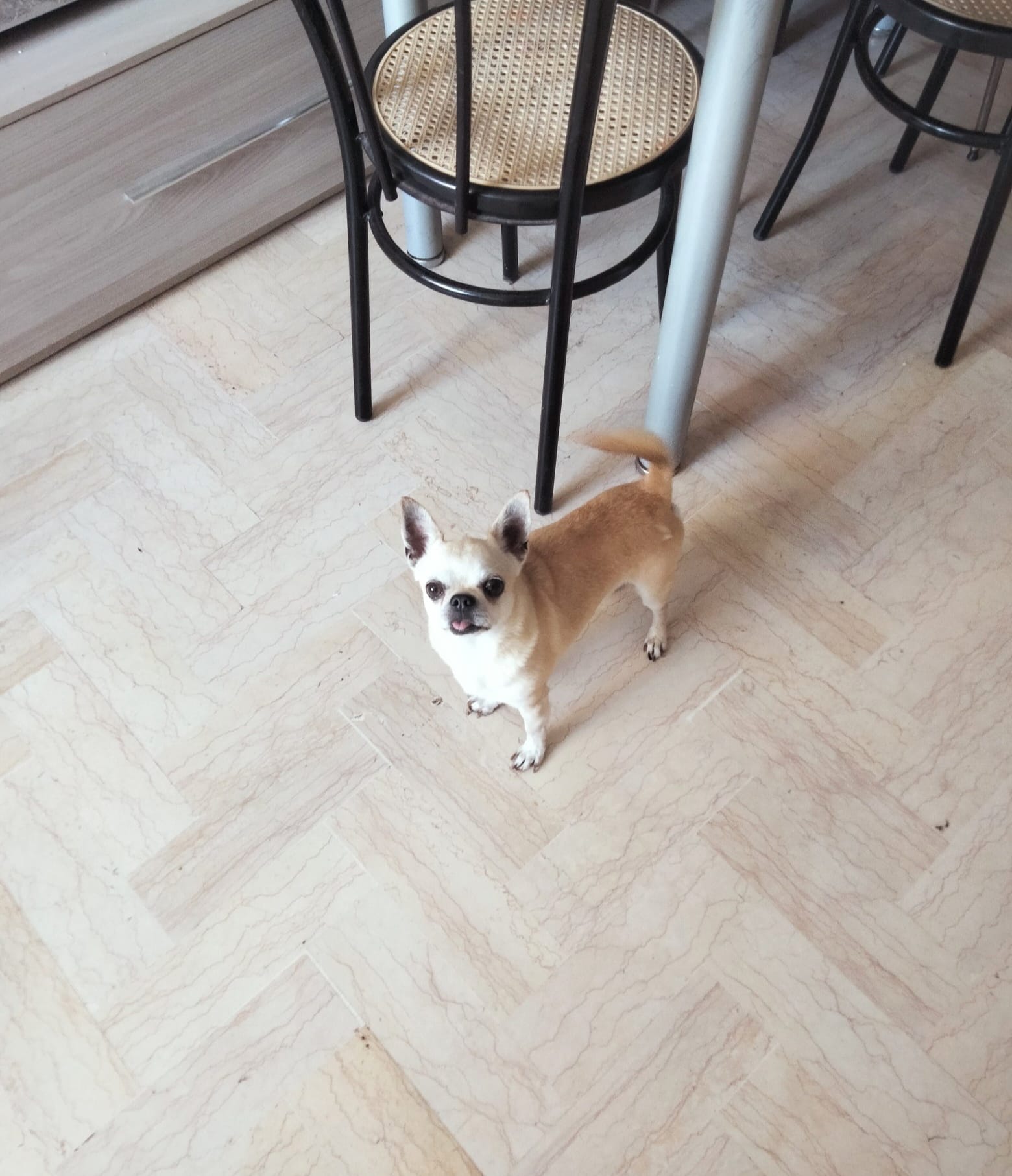 image-11