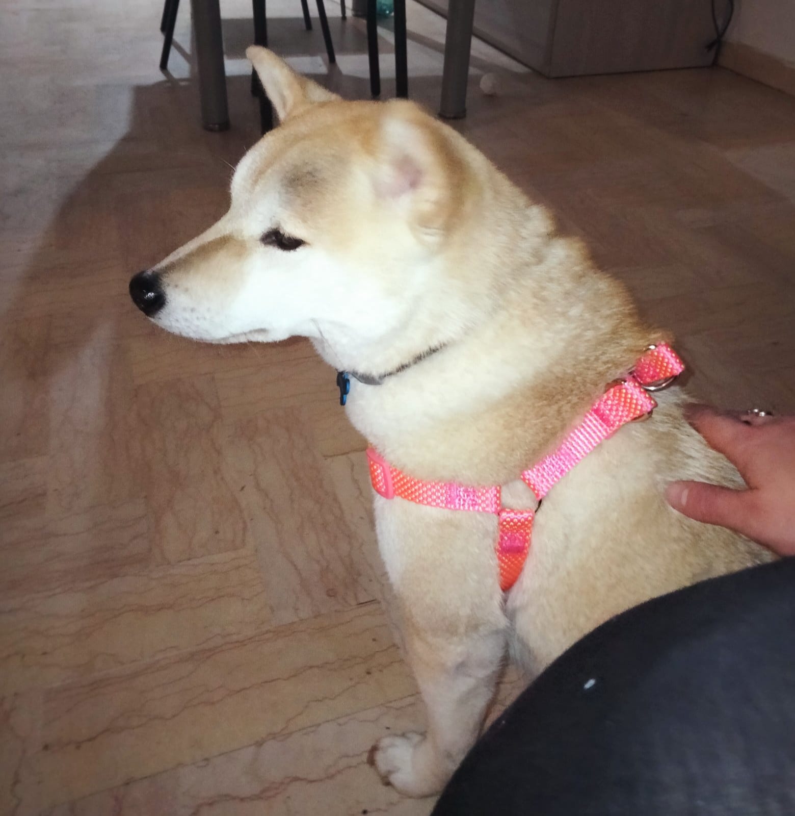 image-13