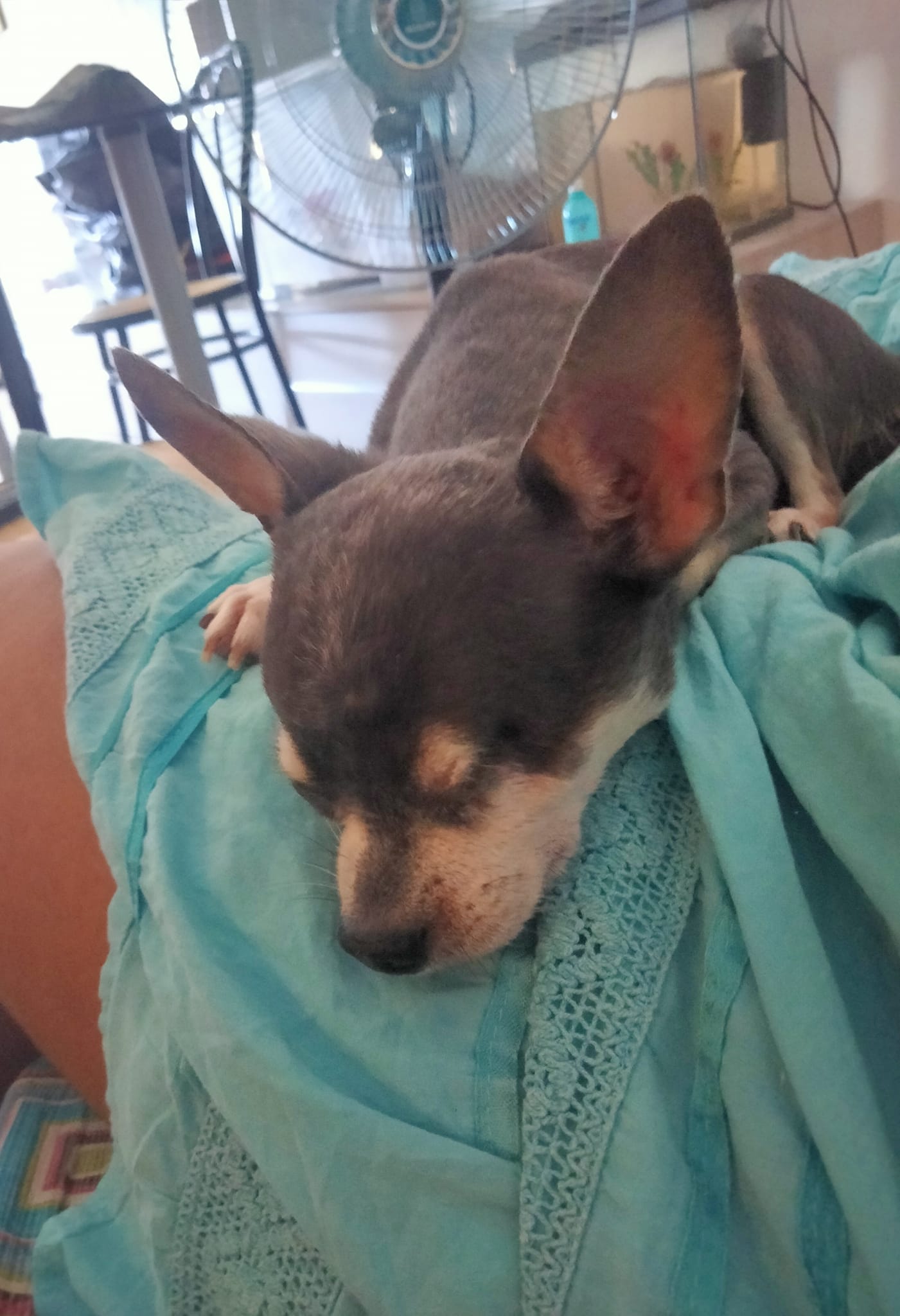 image-6