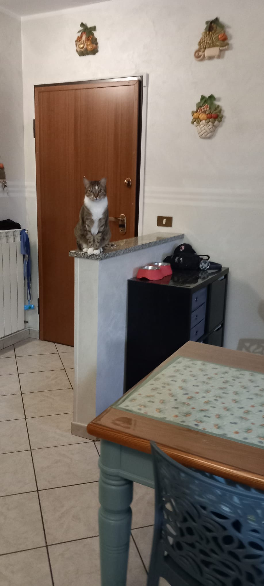 image-16