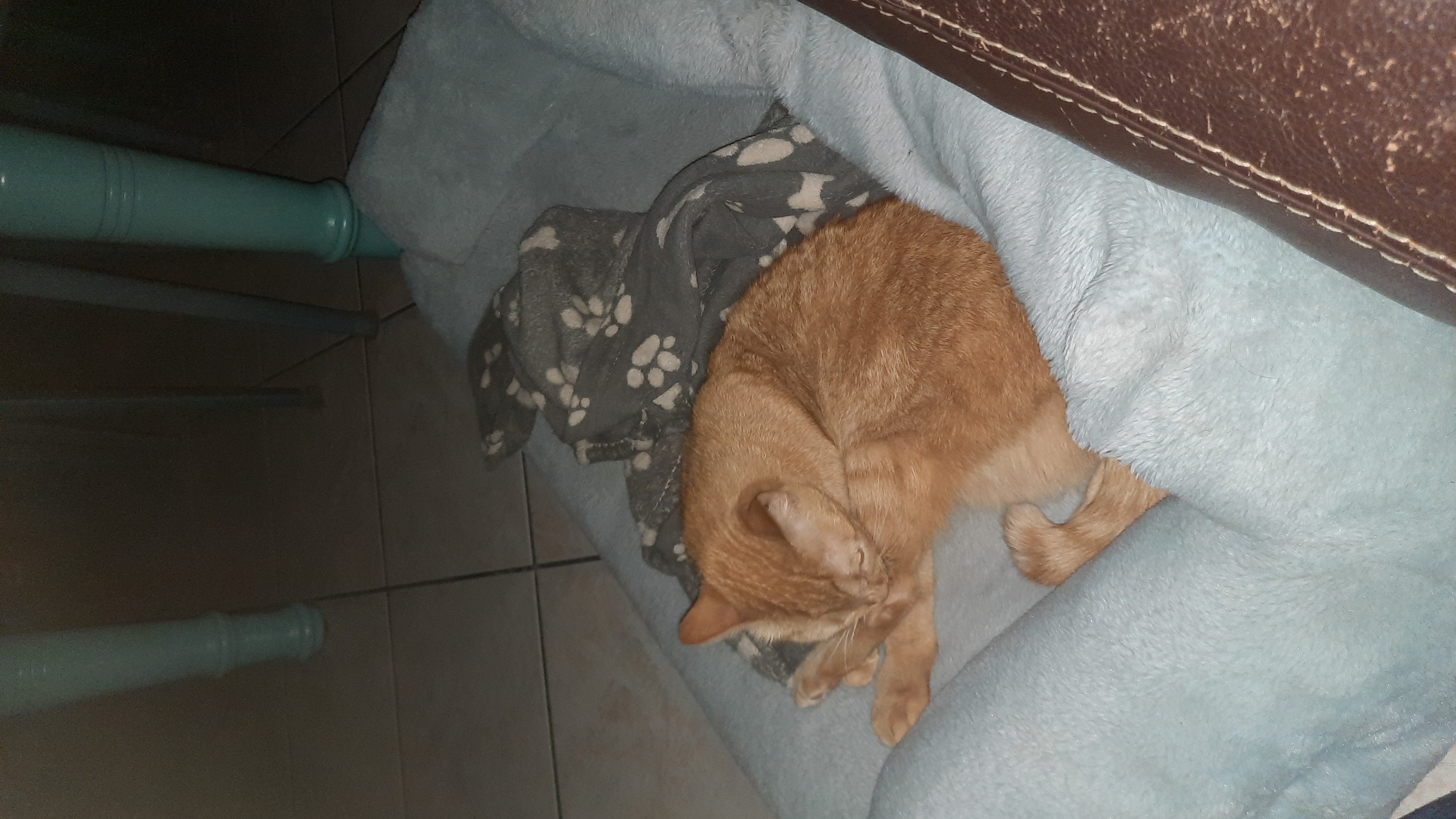 image-11