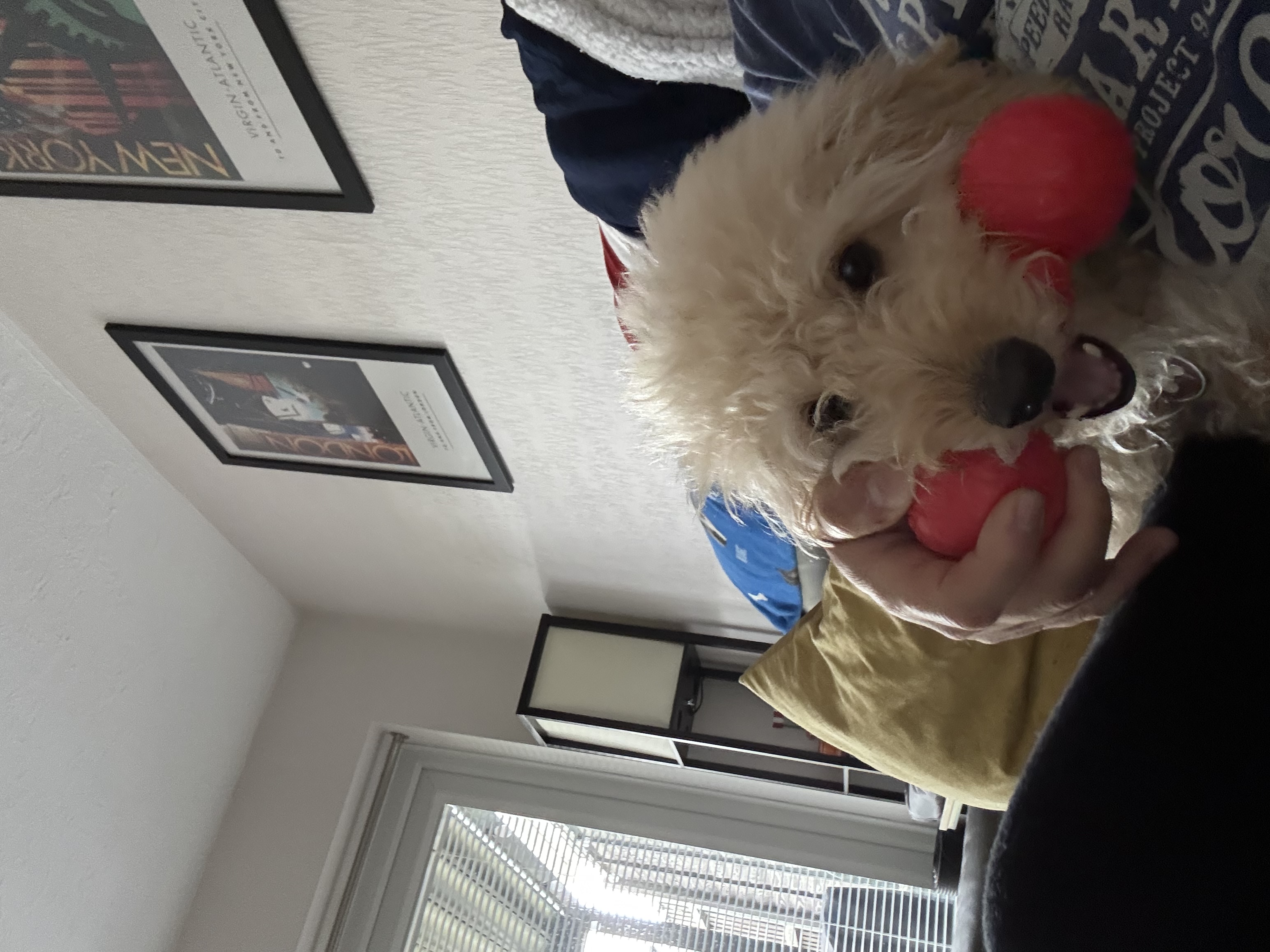 image-15