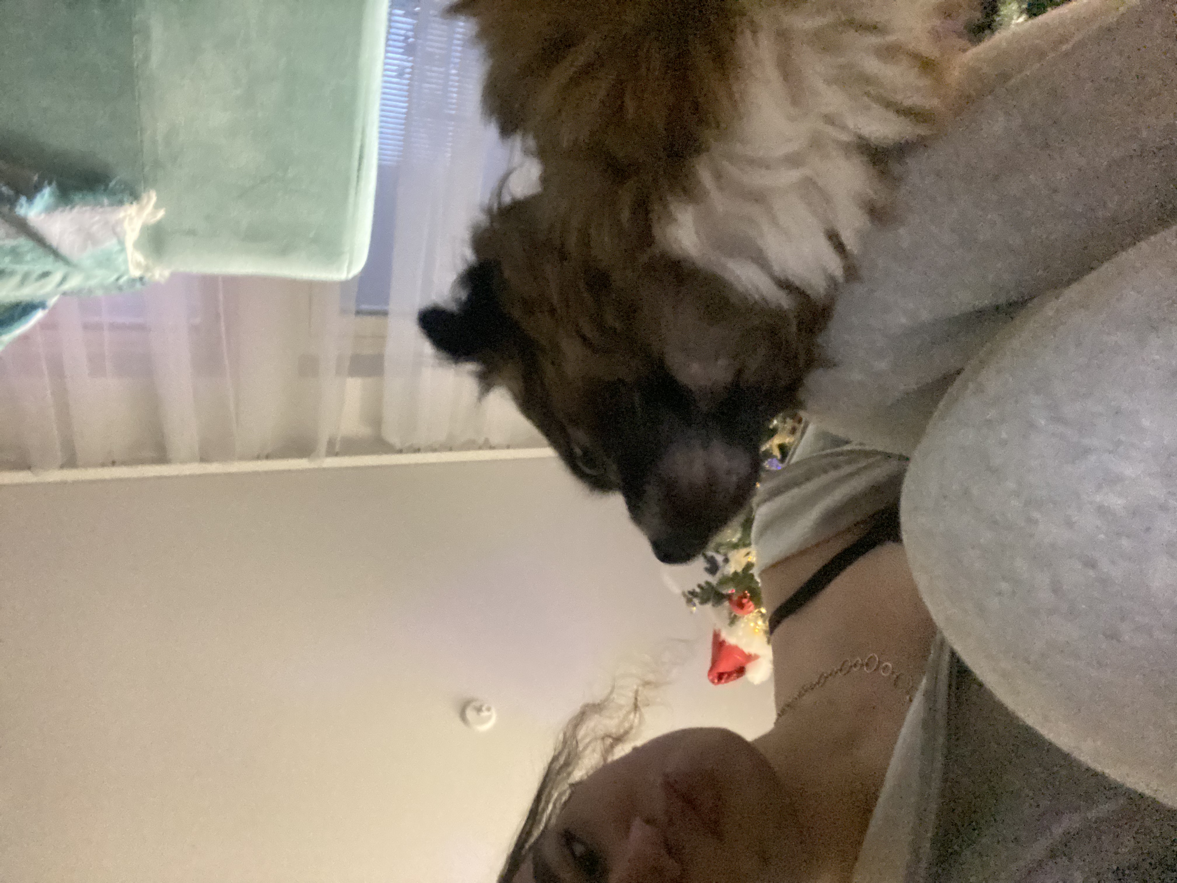 image-10