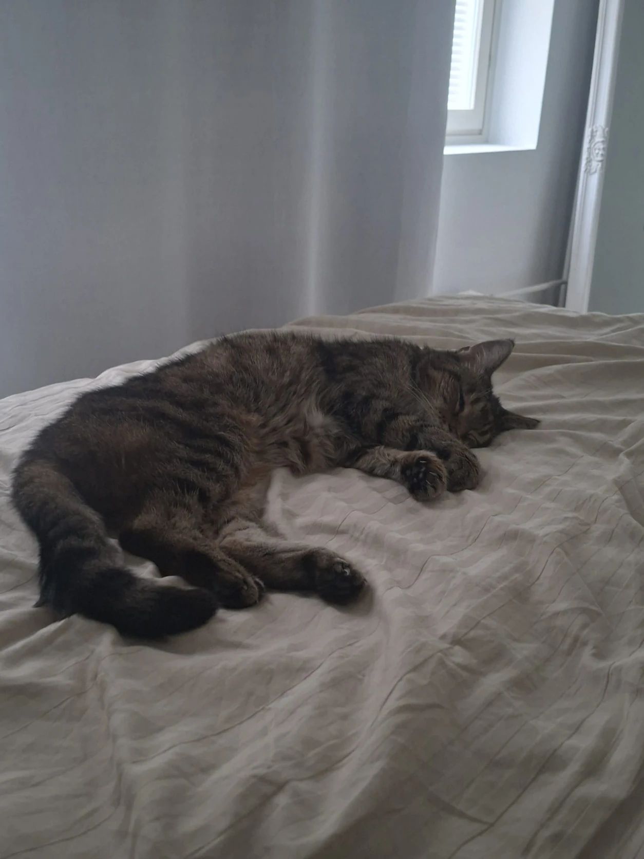 image-10