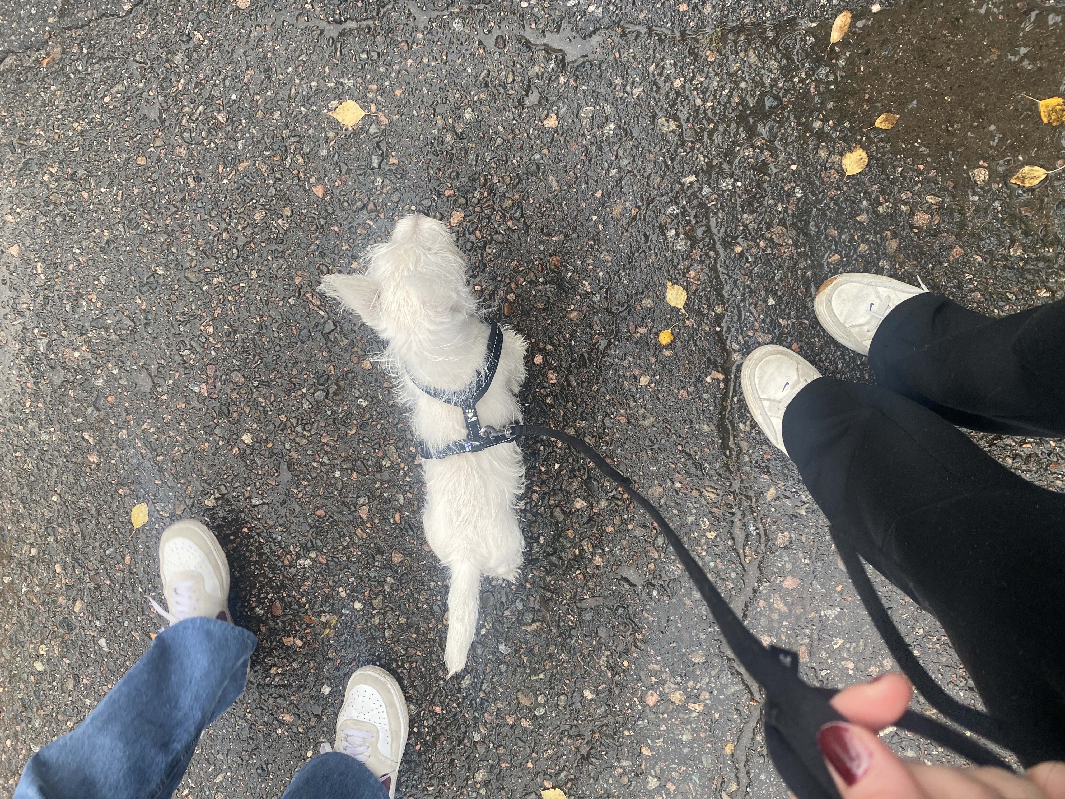 image-7