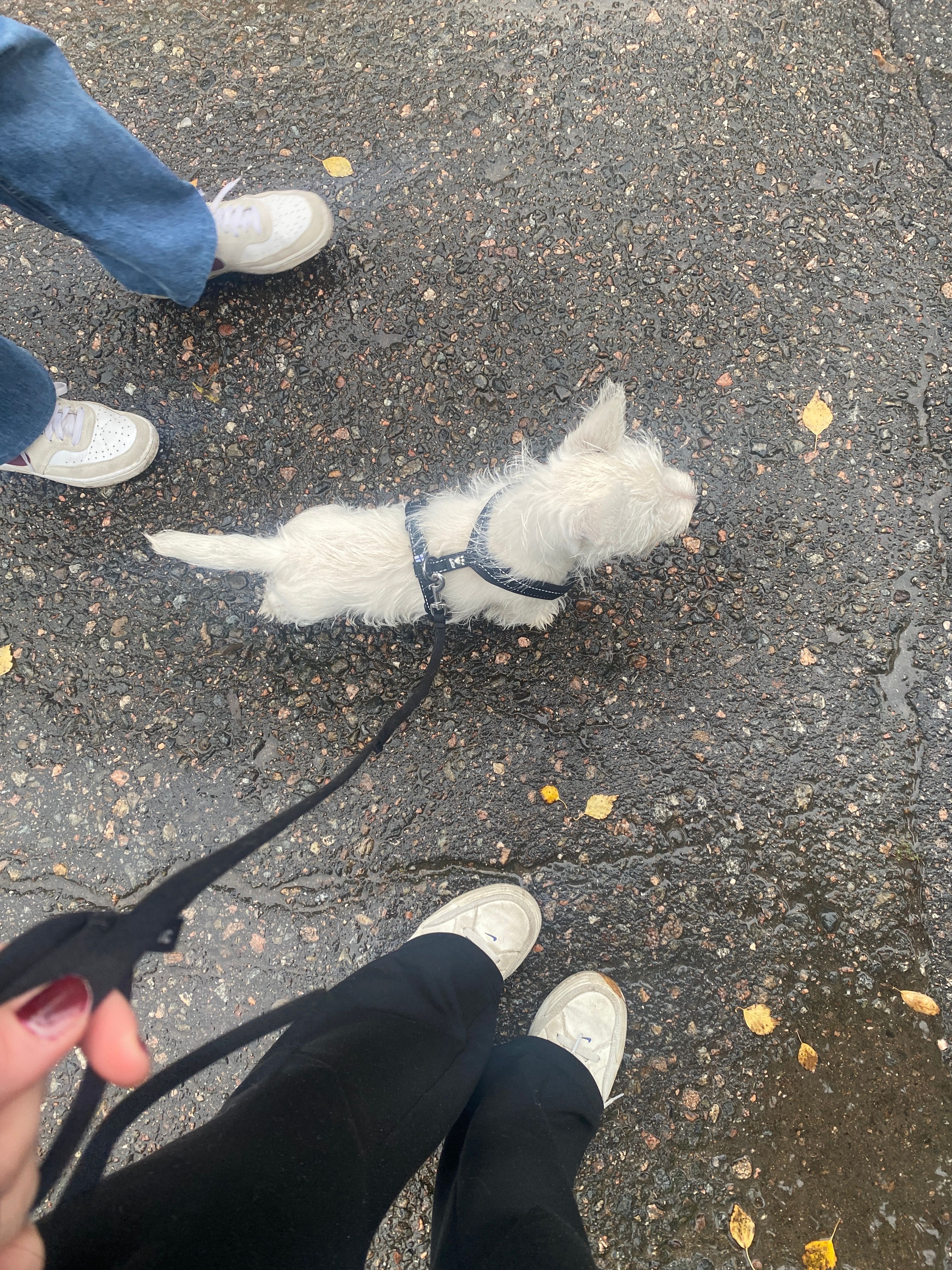 image-7