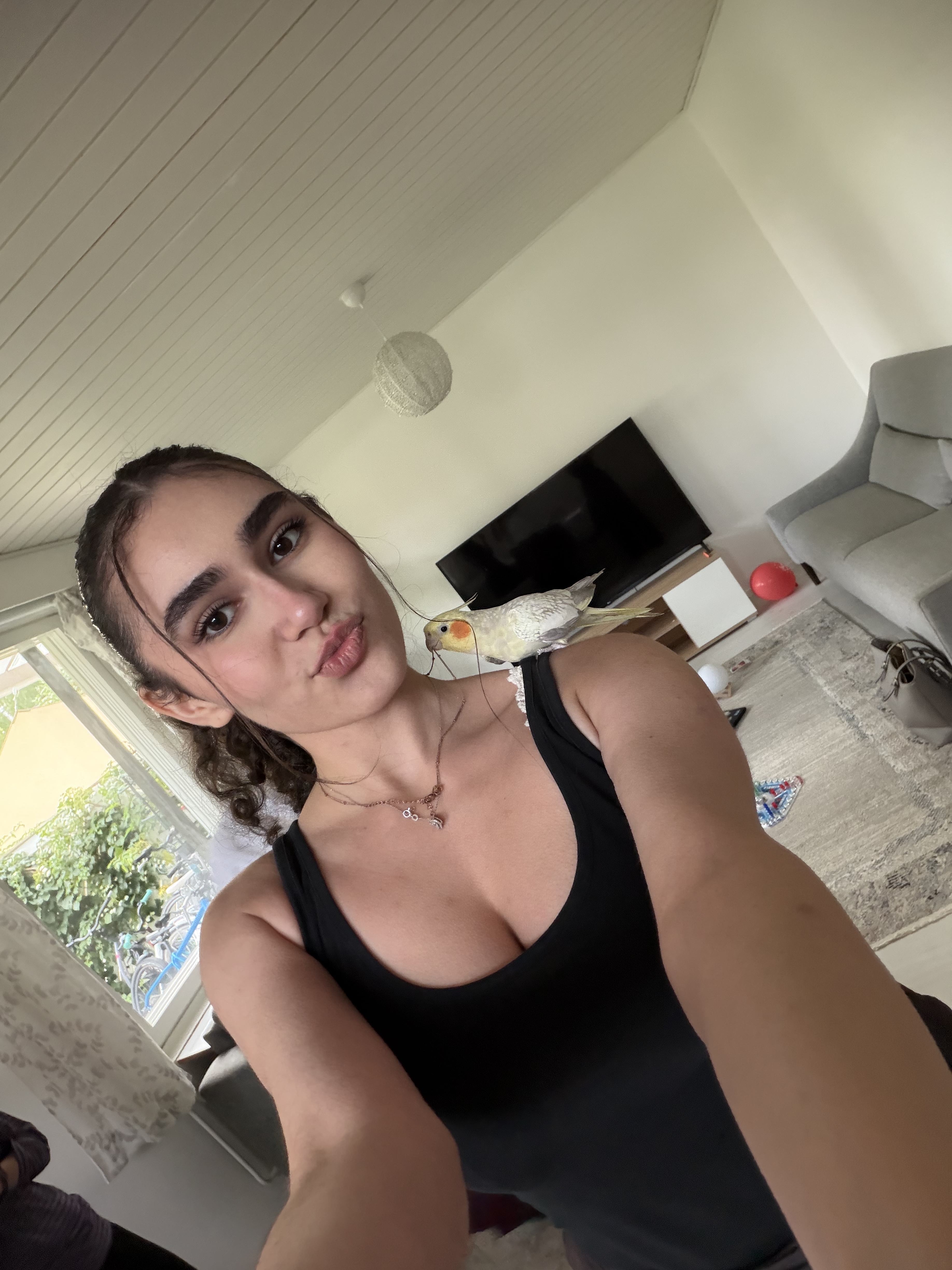 image-6