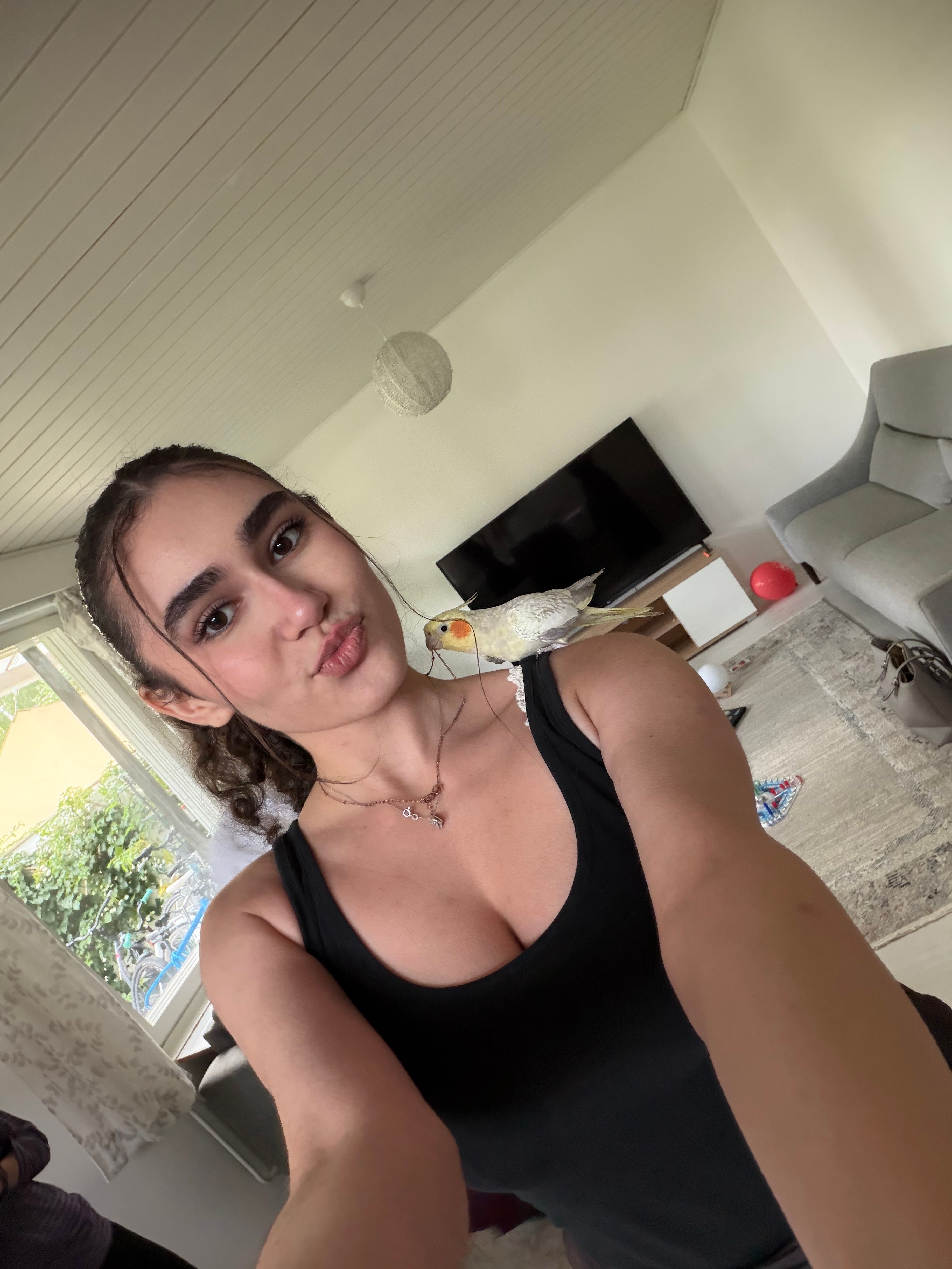 image-6
