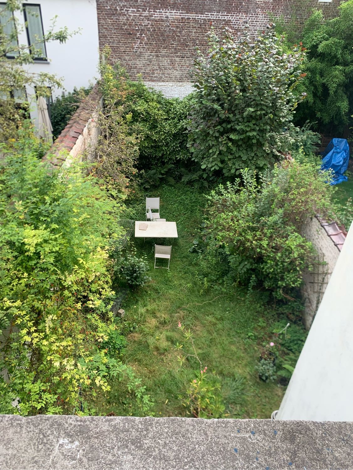 image-5