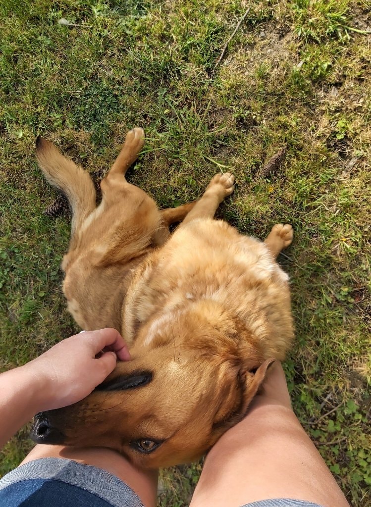 image-6