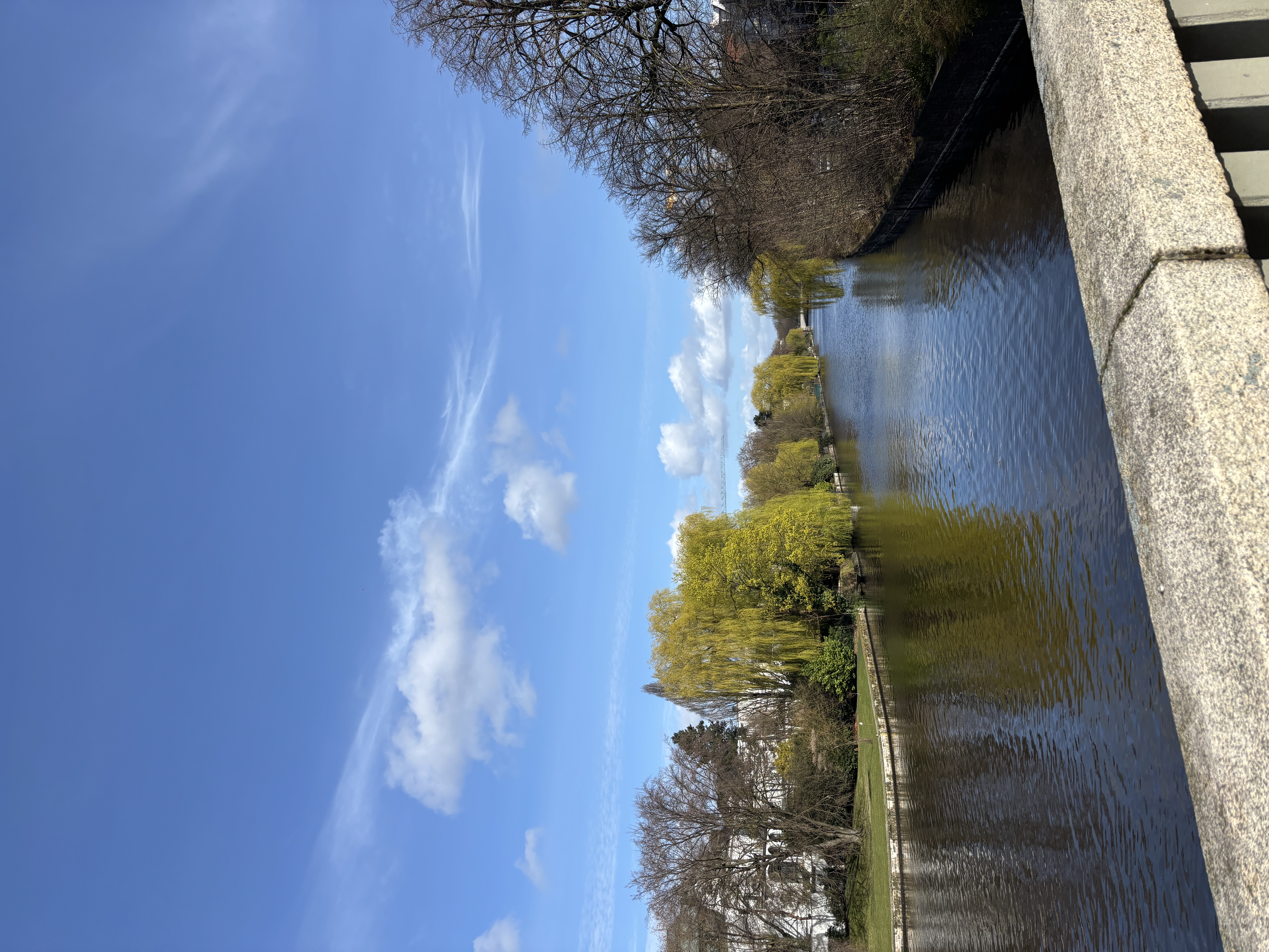 image-14