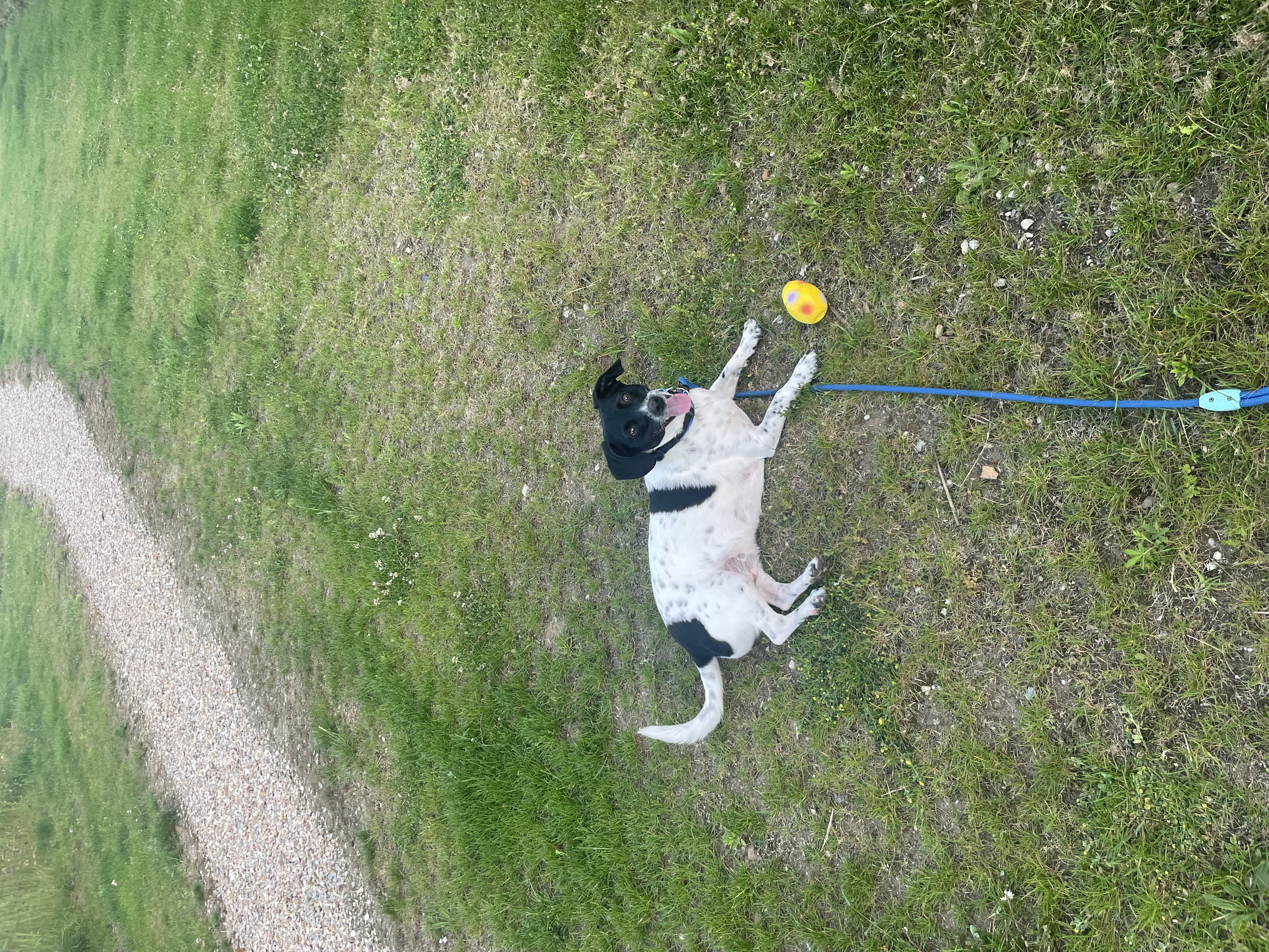 image-10