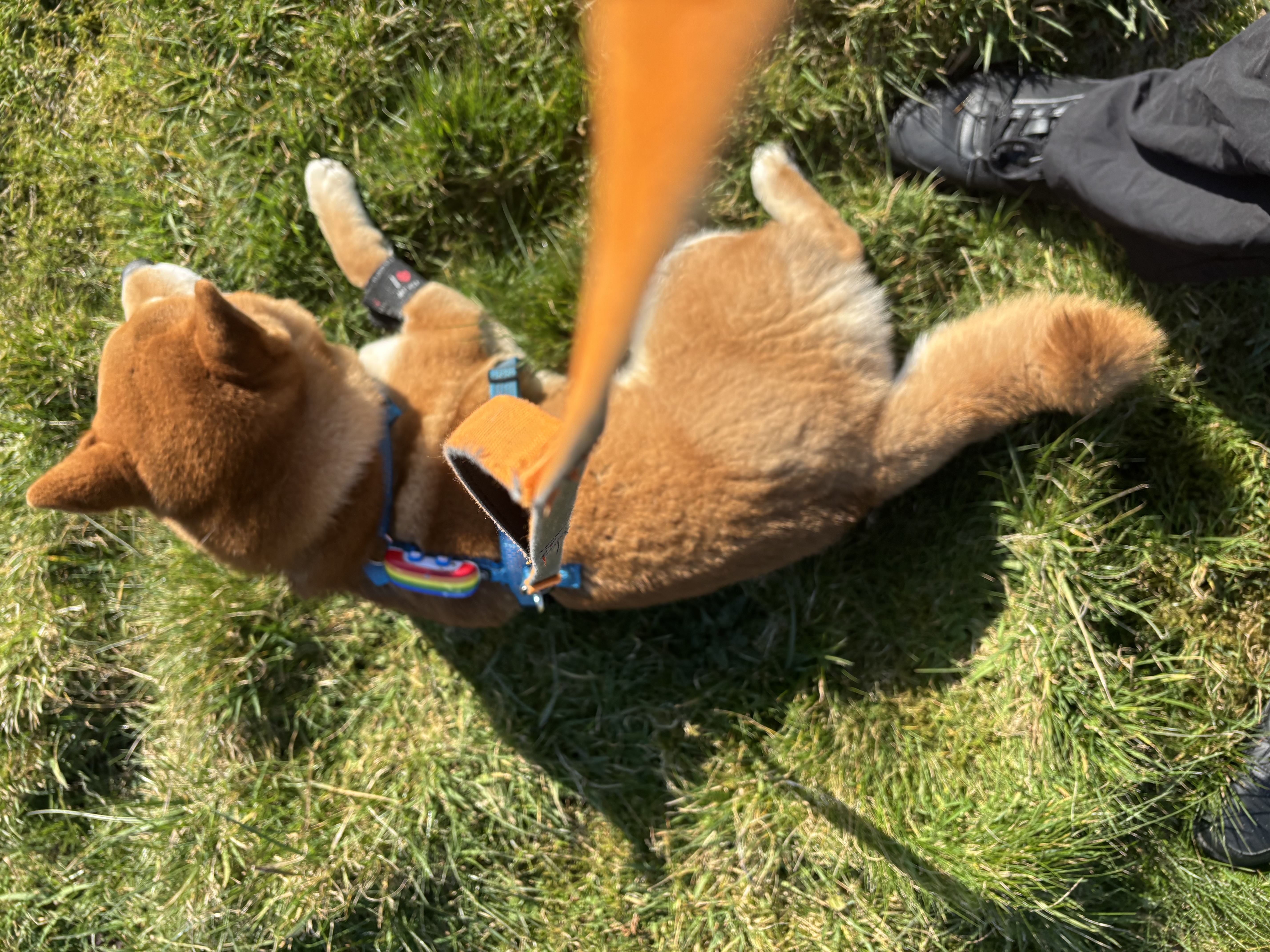 image-8