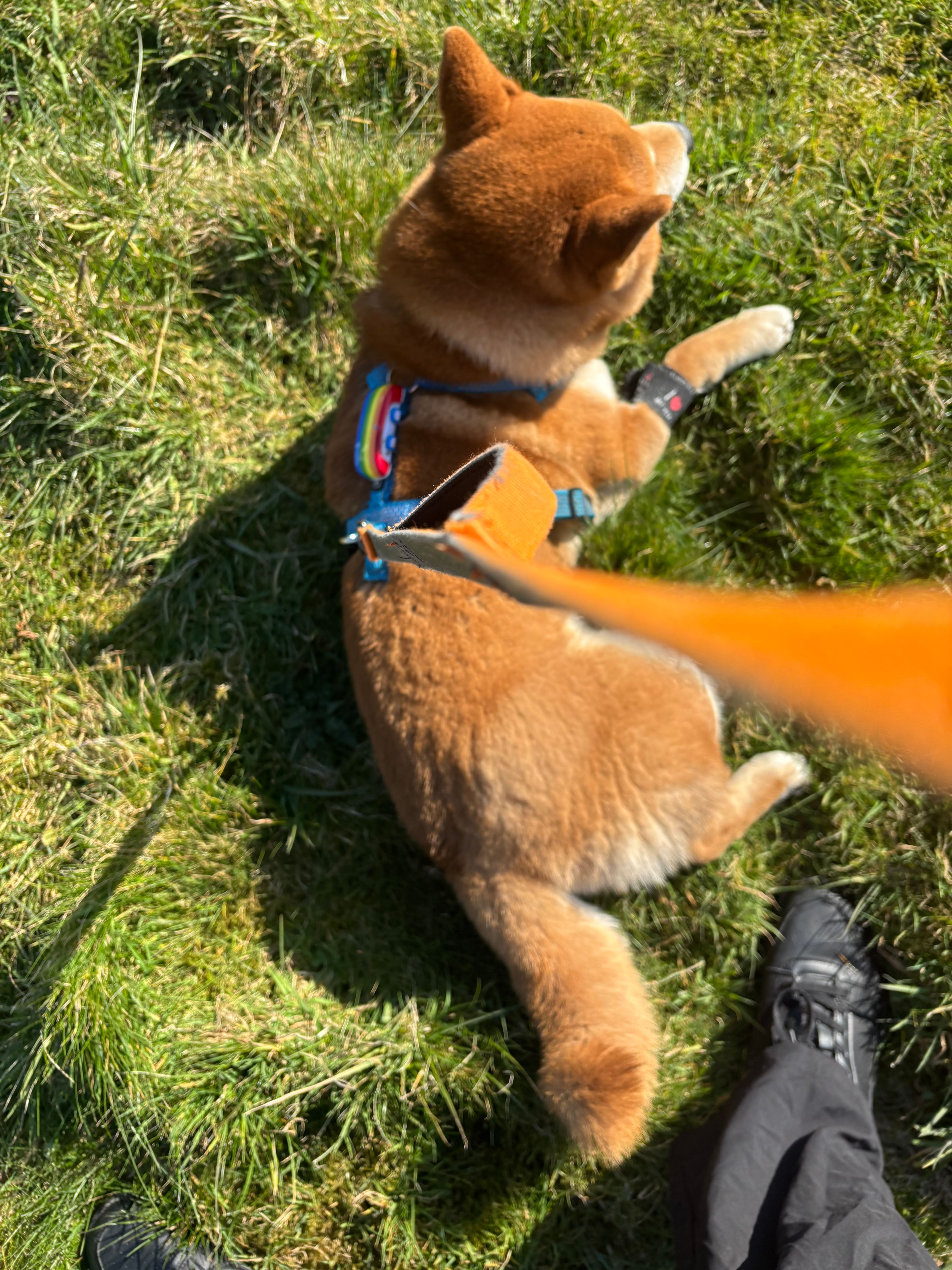 image-8