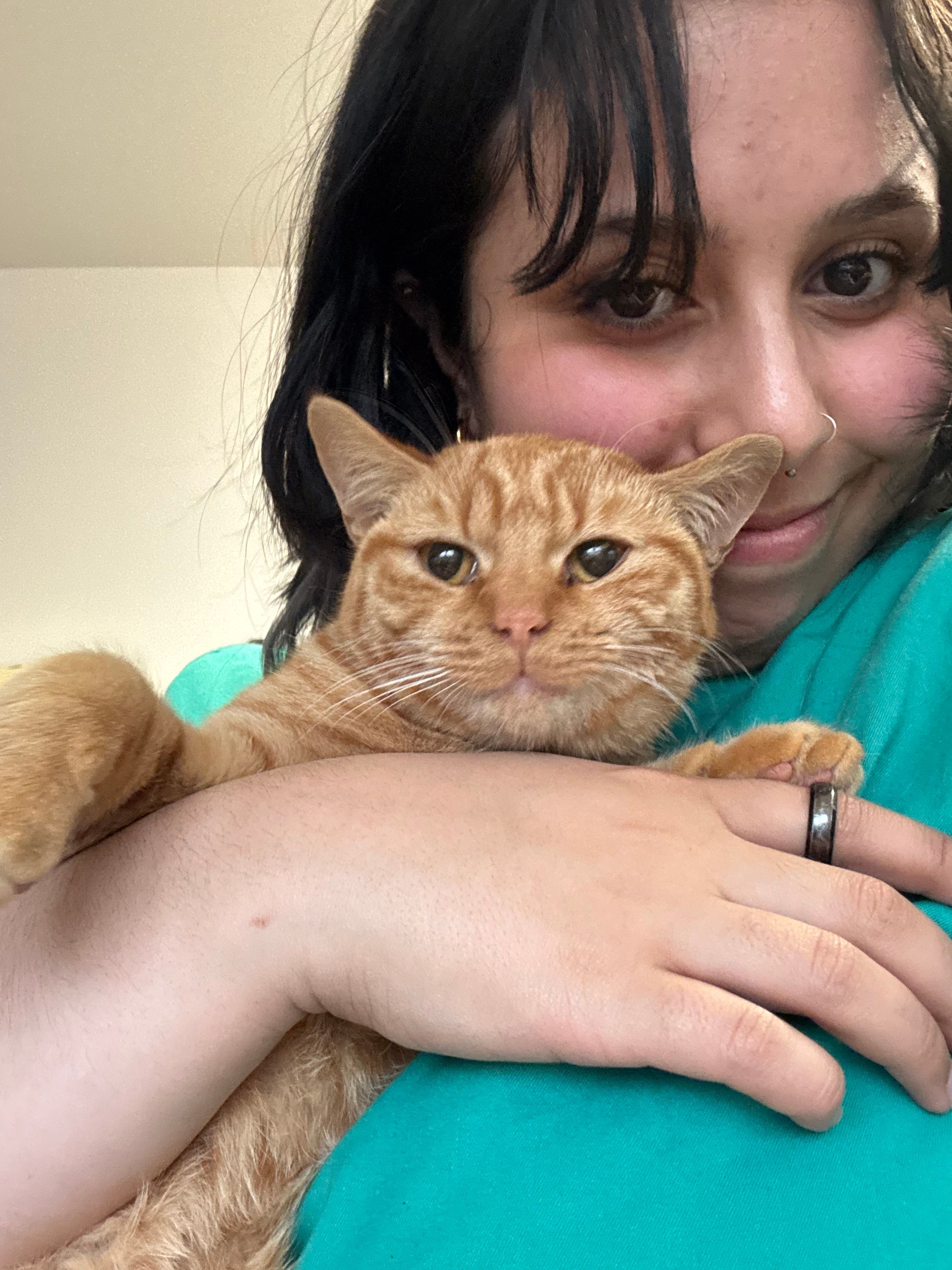 image-2
