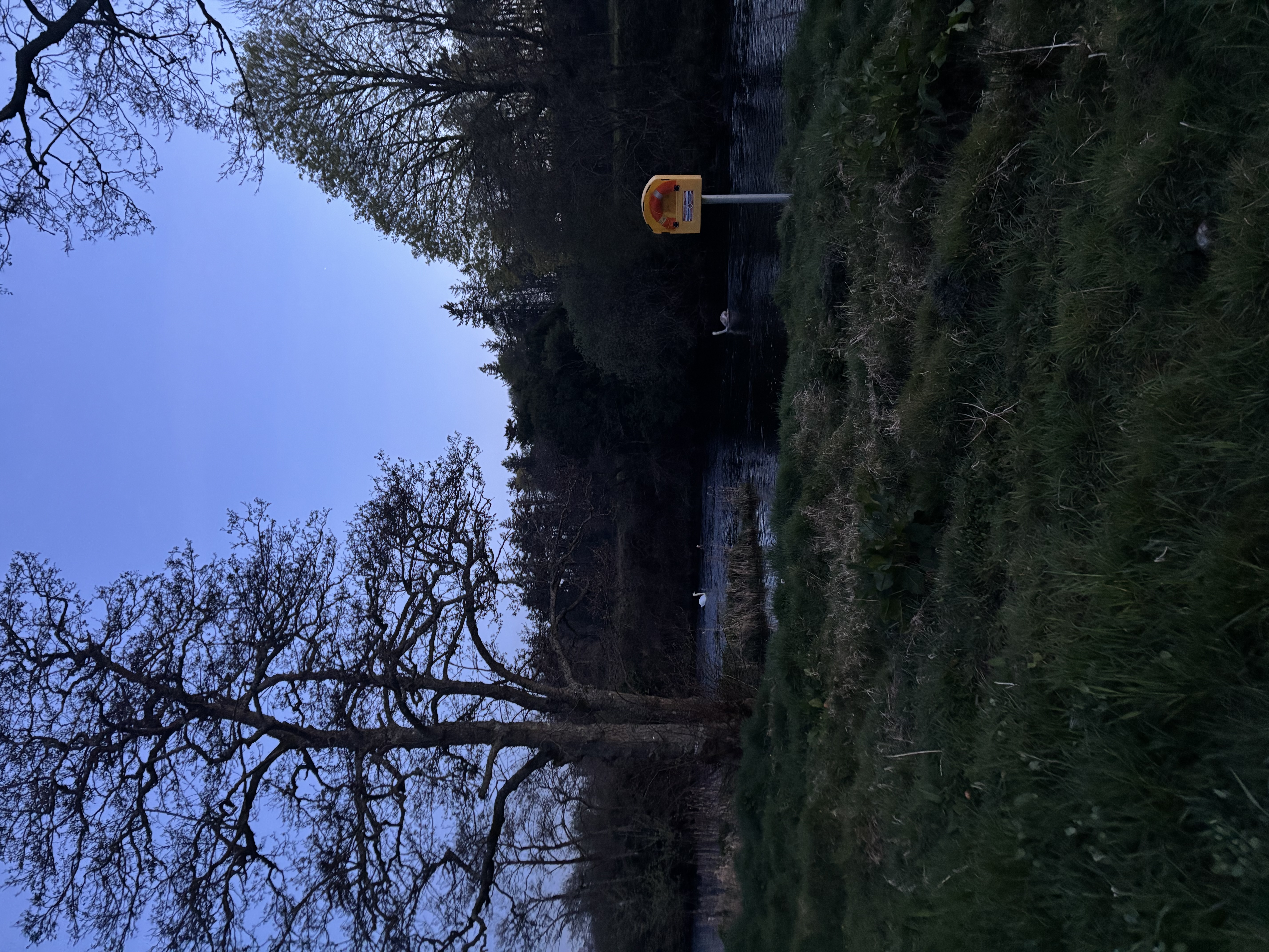 image-11