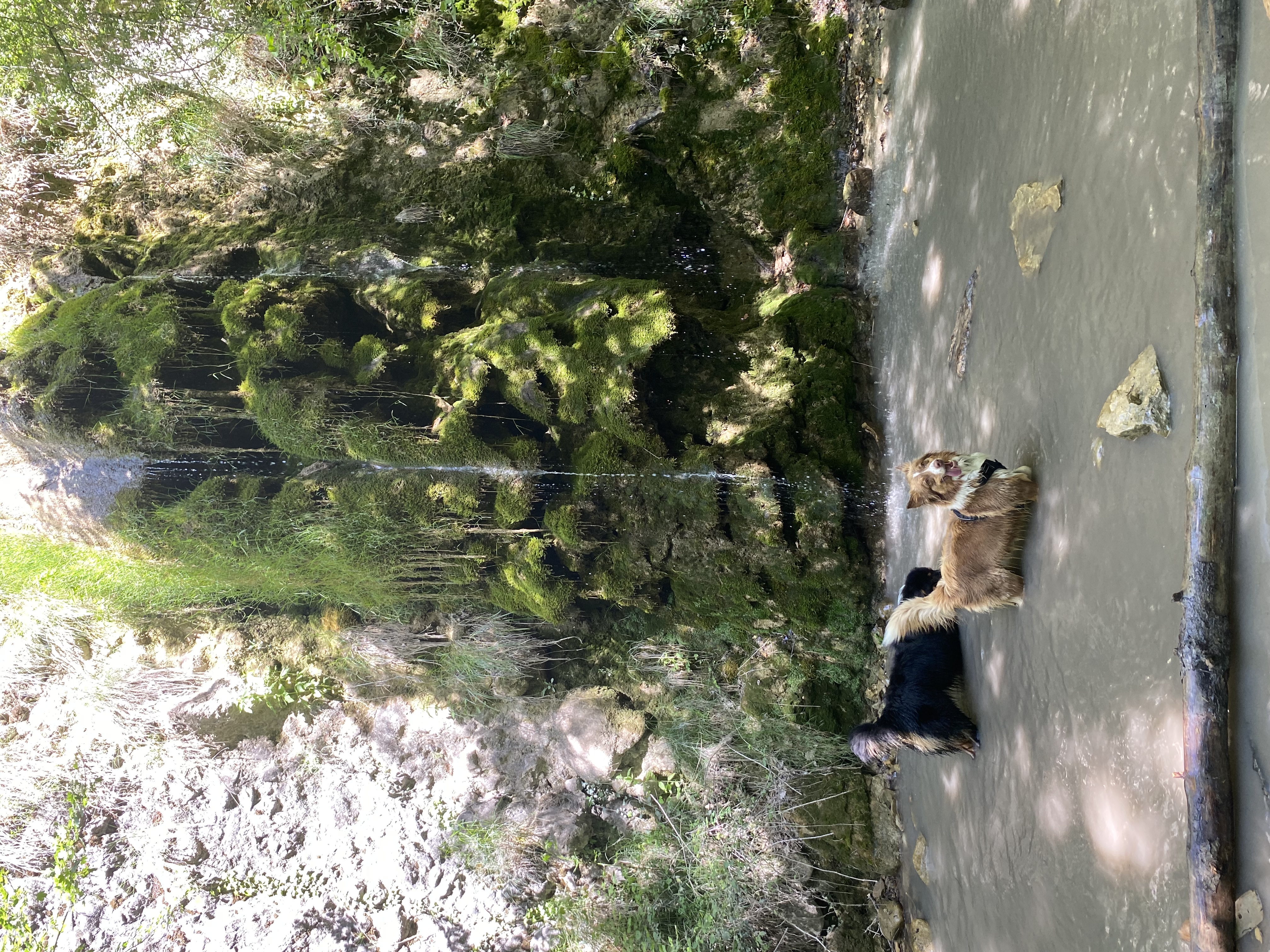 image-7