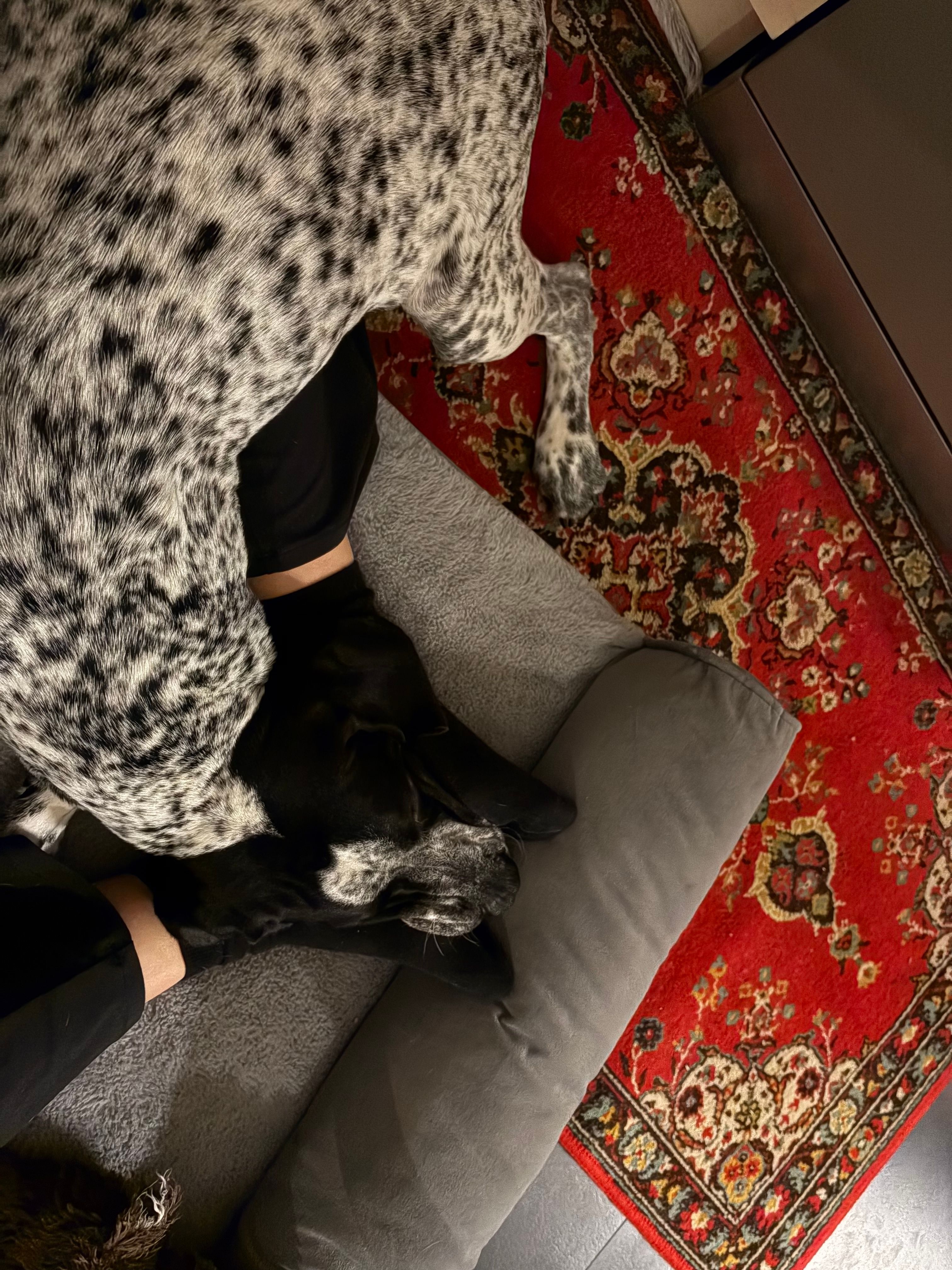 image-10