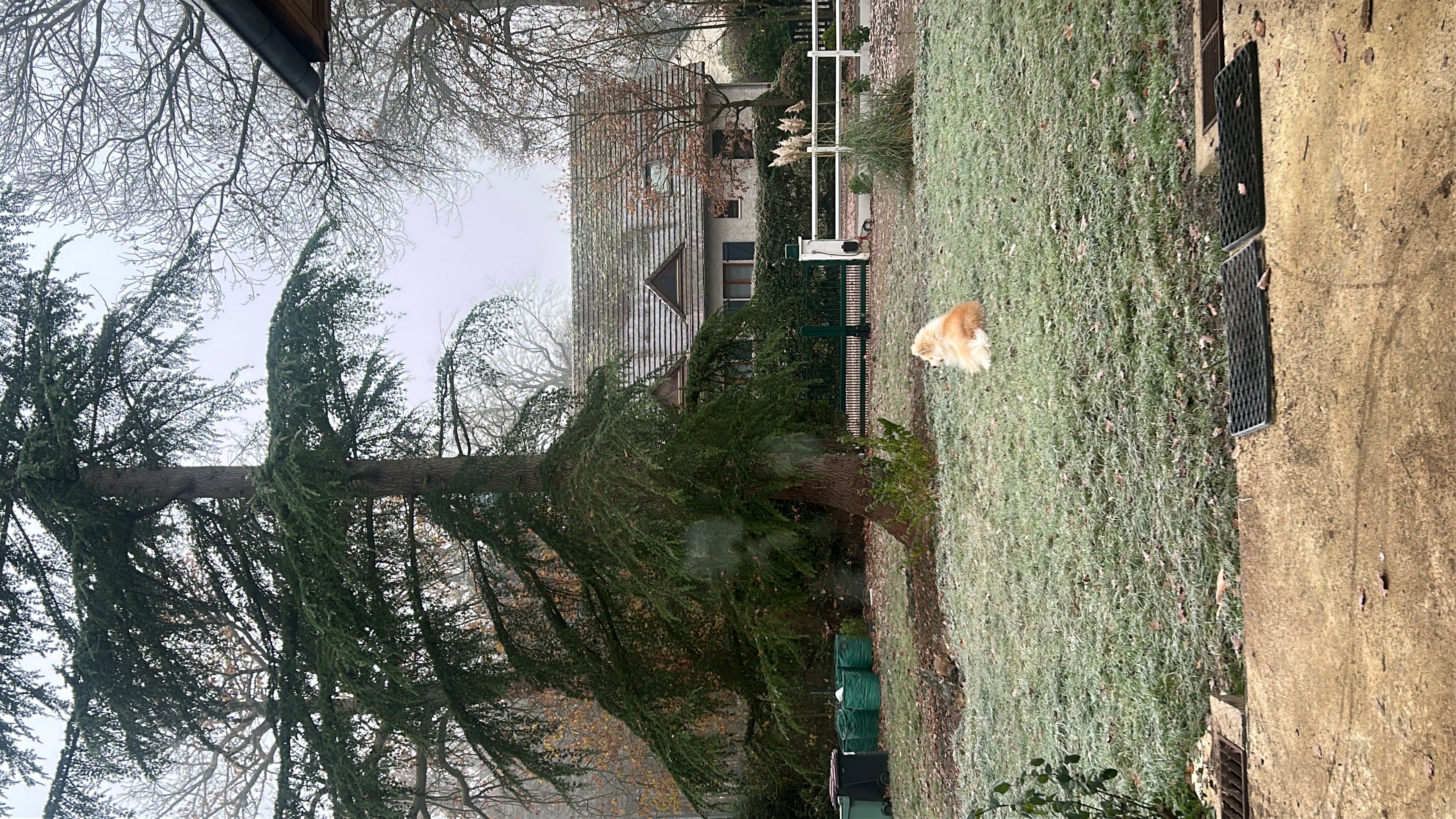 image-17